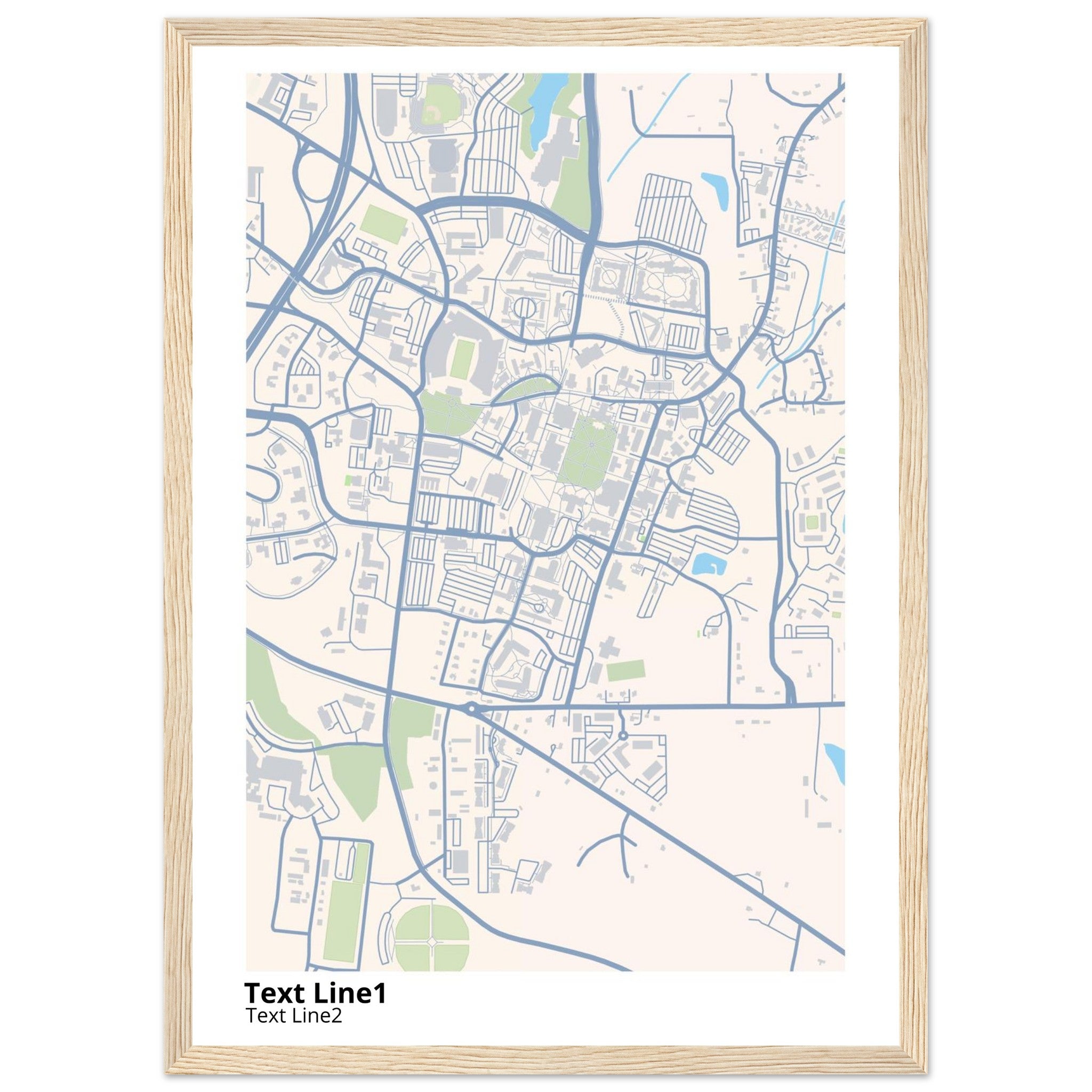 mississippi state university campus map poster