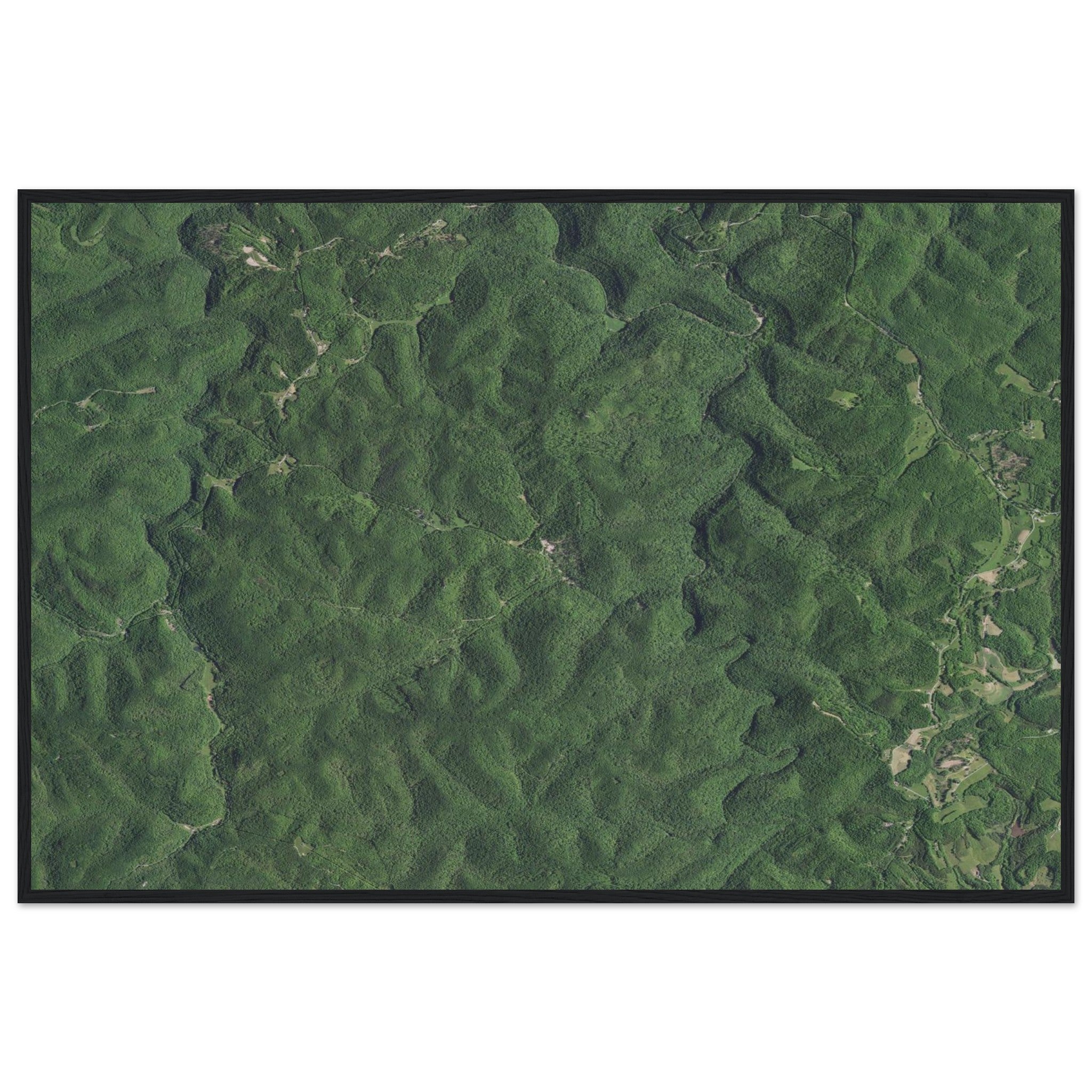 Wind Cave National Park Natural Earth Print - Ink And Atlas