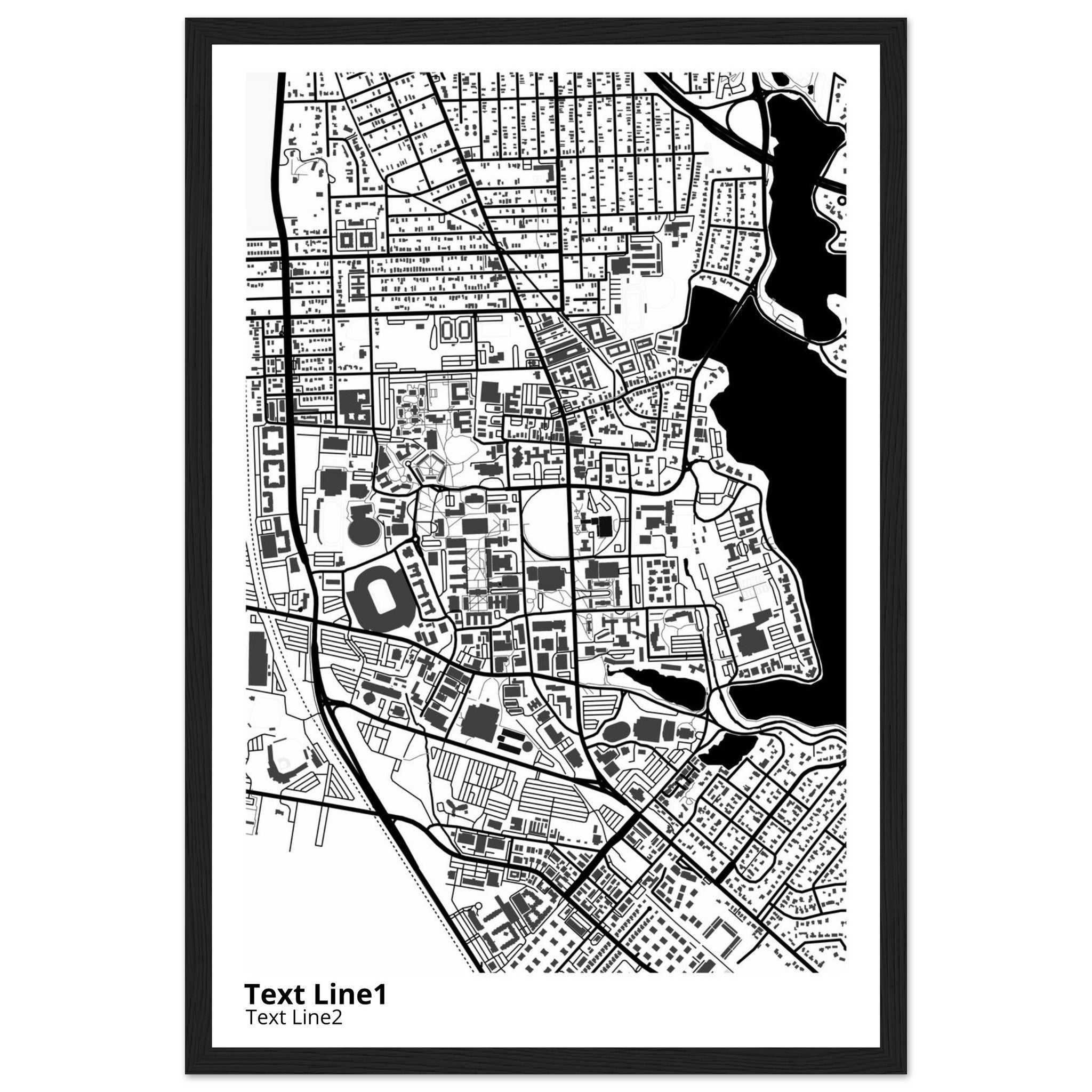 louisiana state university and agricultural and mechanical college campus map poster