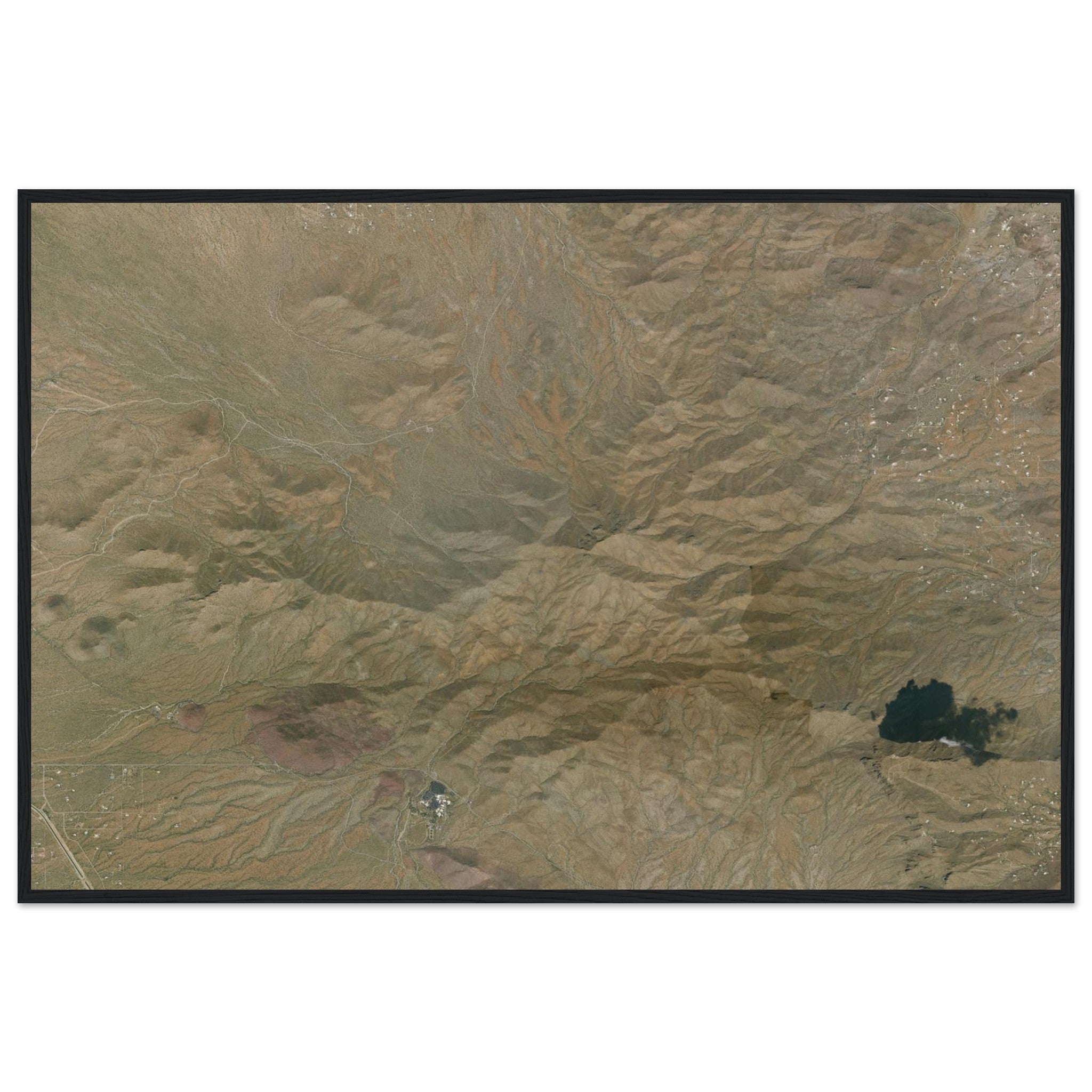 Saguaro National Park Natural Earth Print - Ink And Atlas