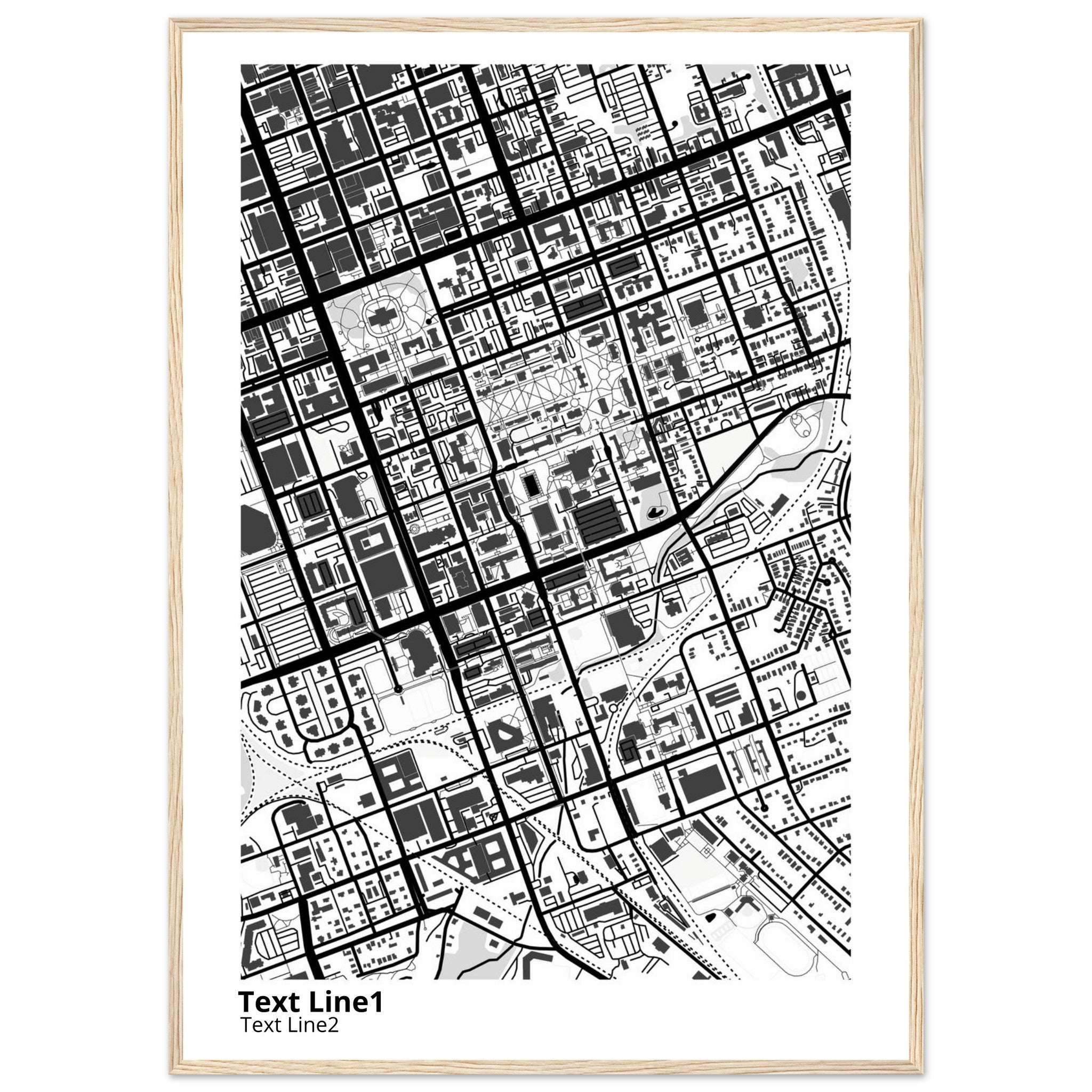 University of SC (Columbia) Campus Map Poster | Graduation Gift - Ink And Atlas