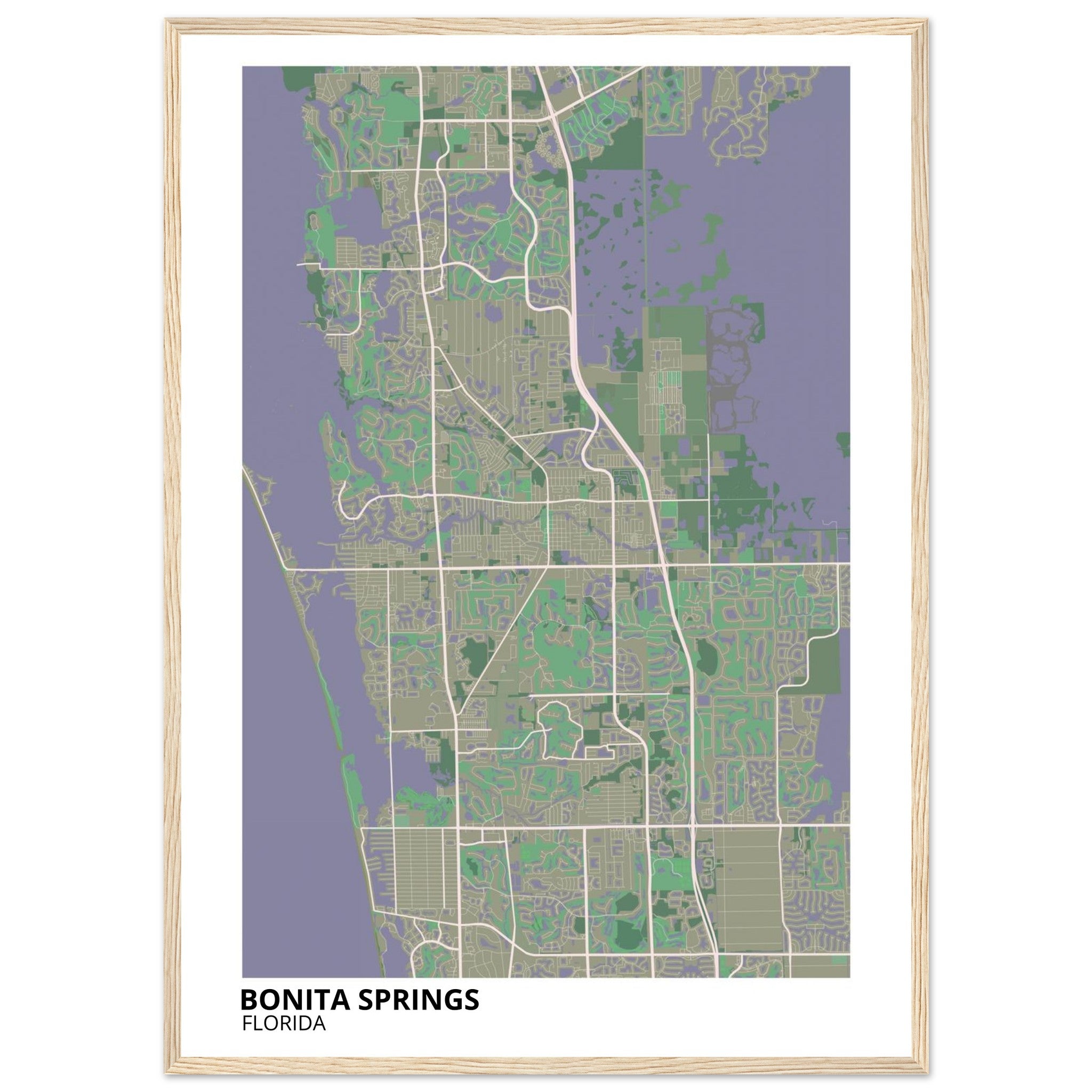 bonita springs map poster print