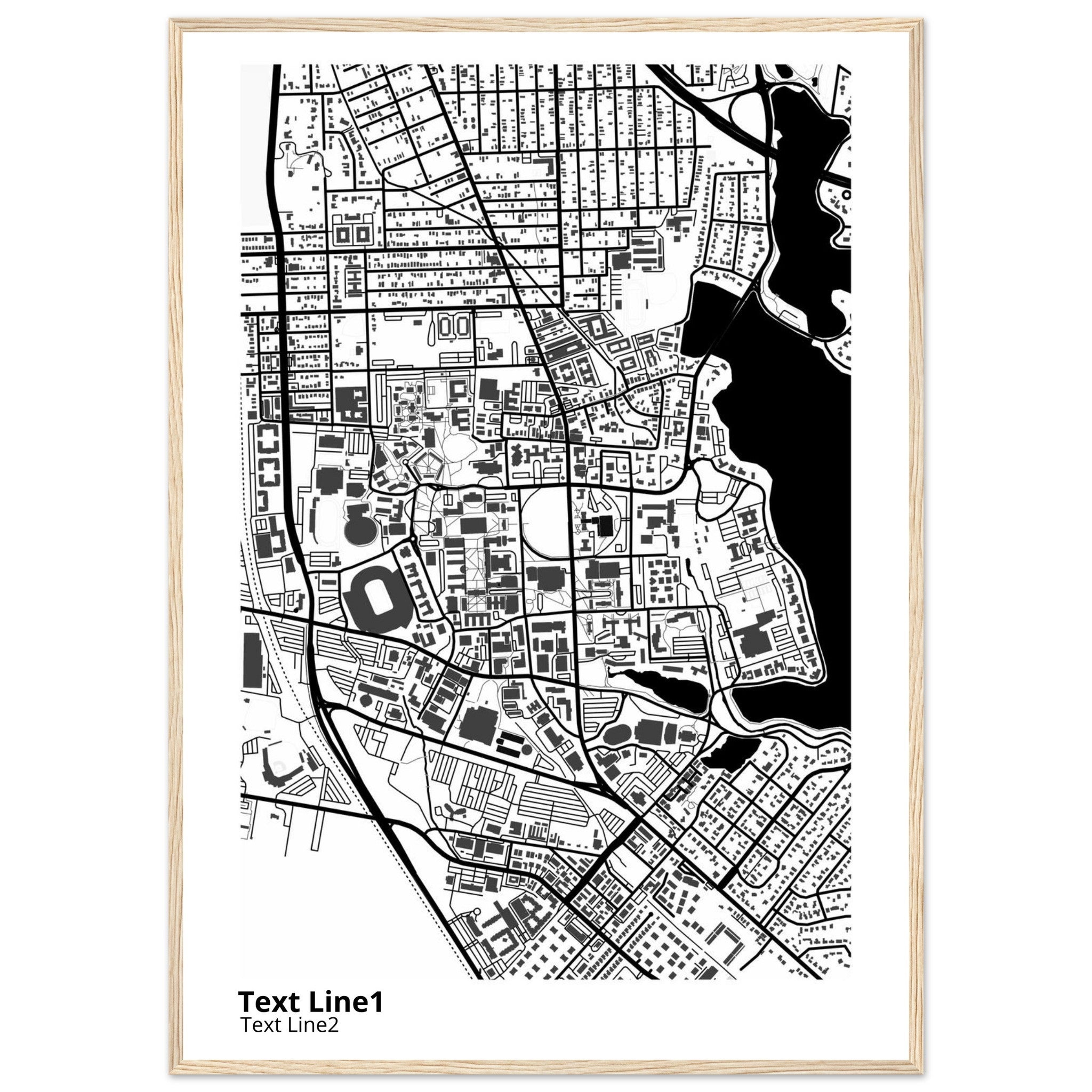 louisiana state university and agricultural and mechanical college campus map poster