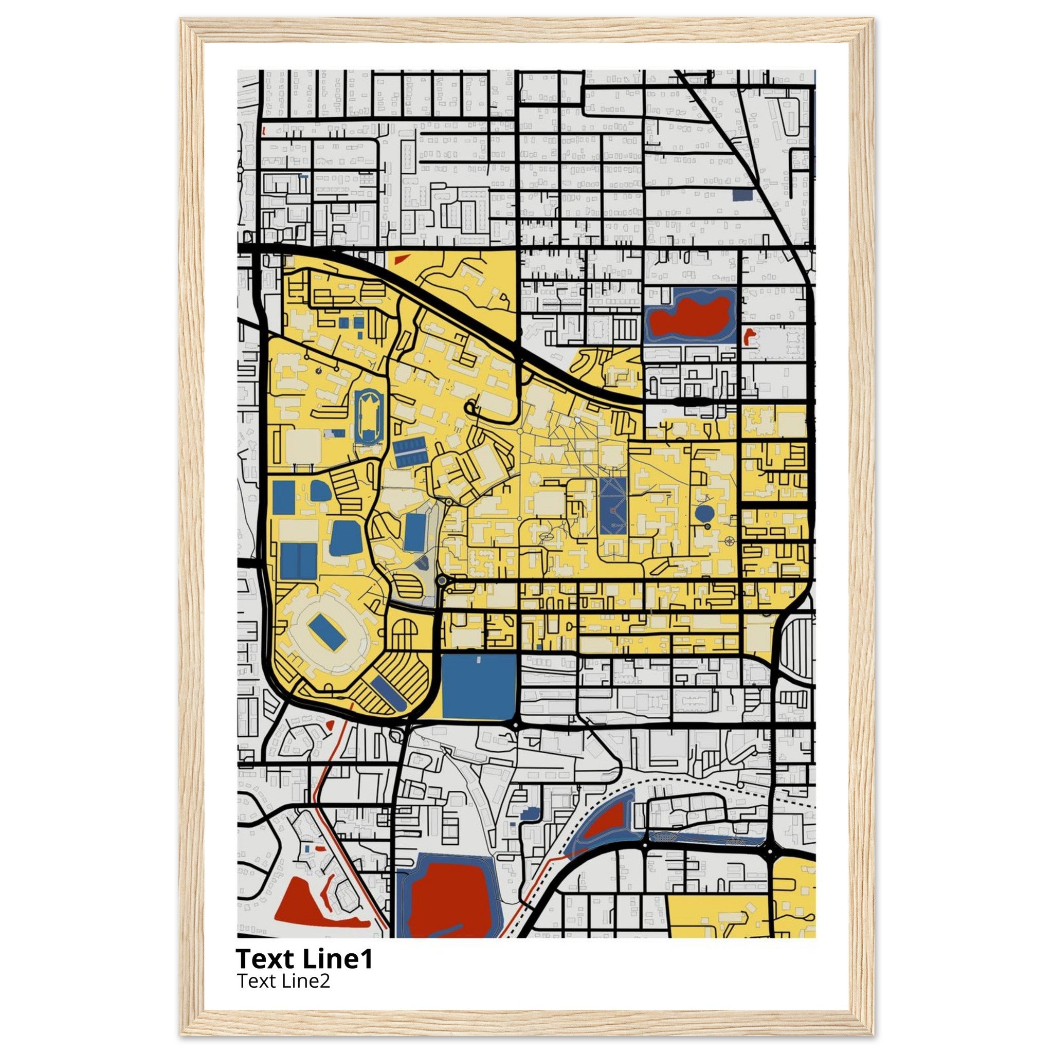 florida state university campus map poster