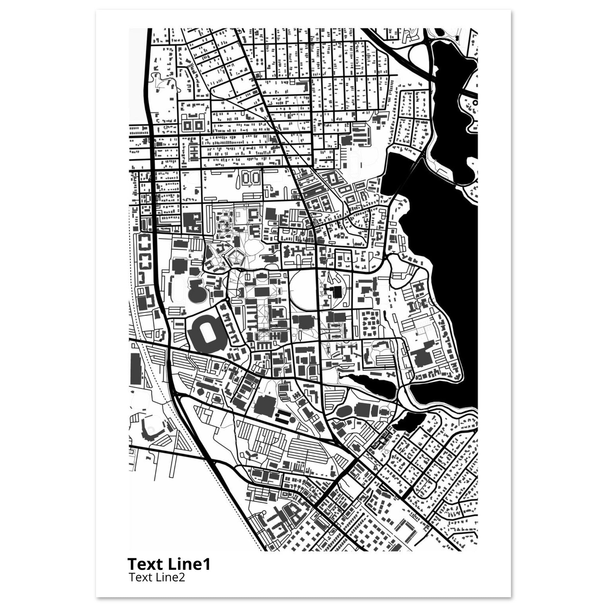 louisiana state university and agricultural and mechanical college campus map poster