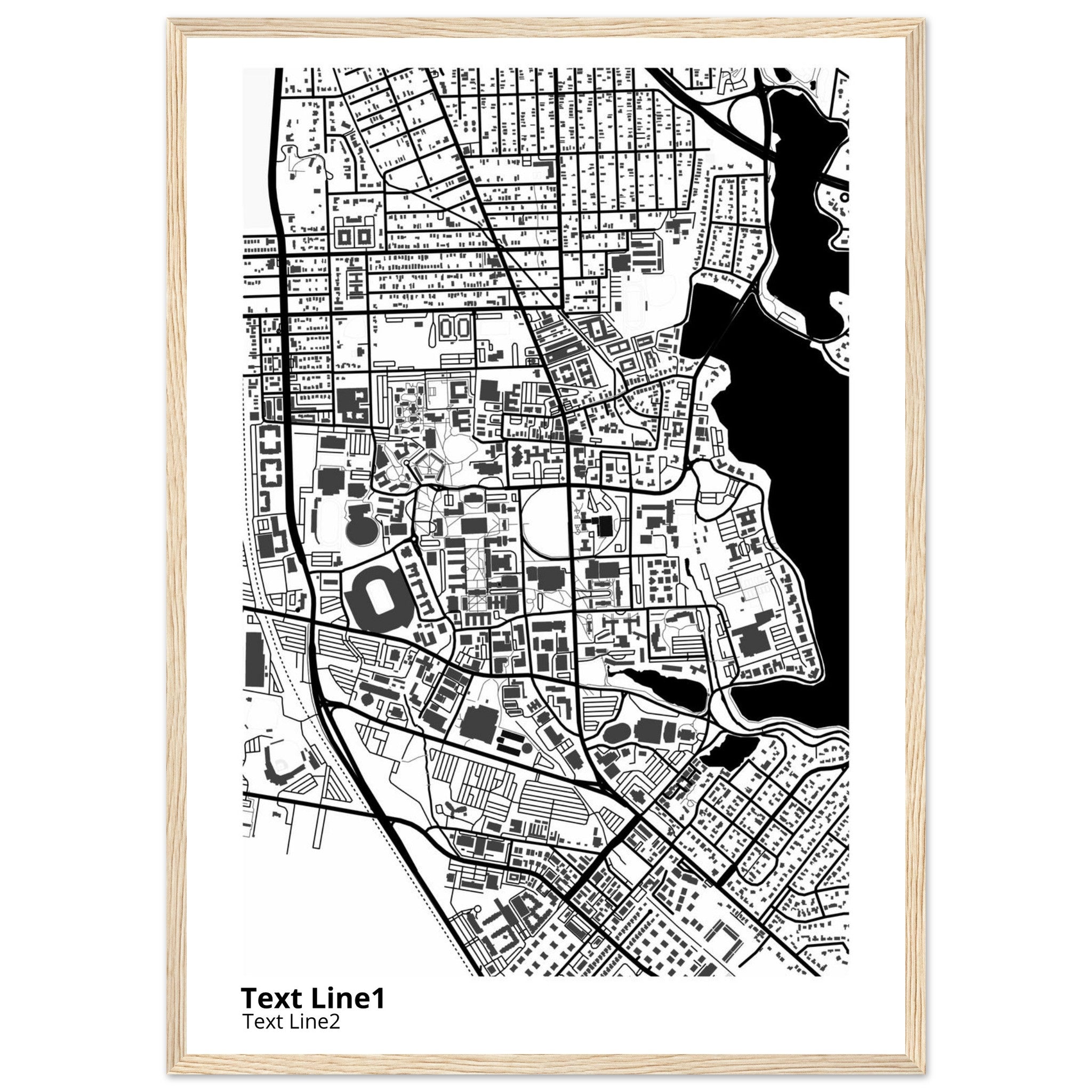 louisiana state university and agricultural and mechanical college campus map poster
