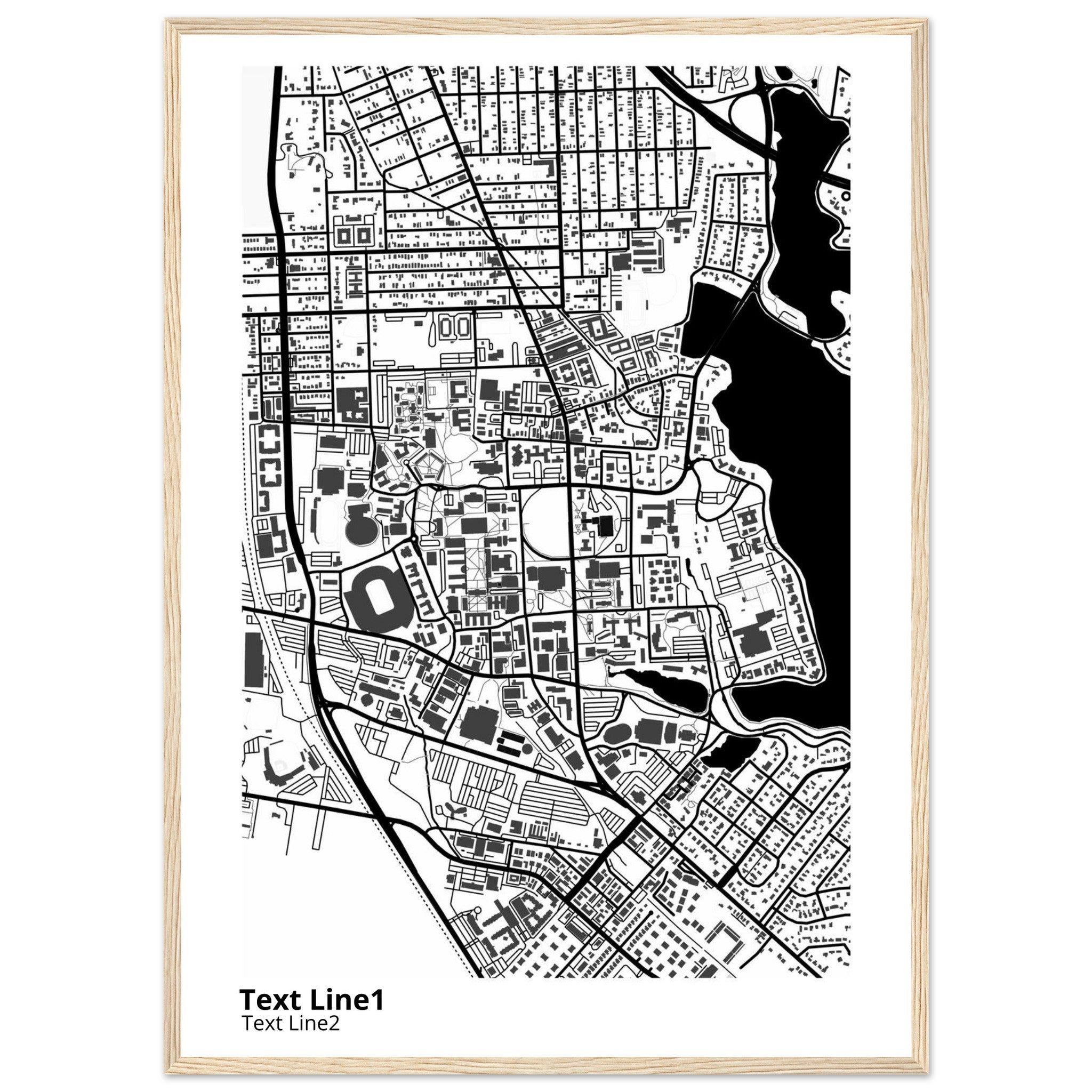 louisiana state university and agricultural and mechanical college campus map poster