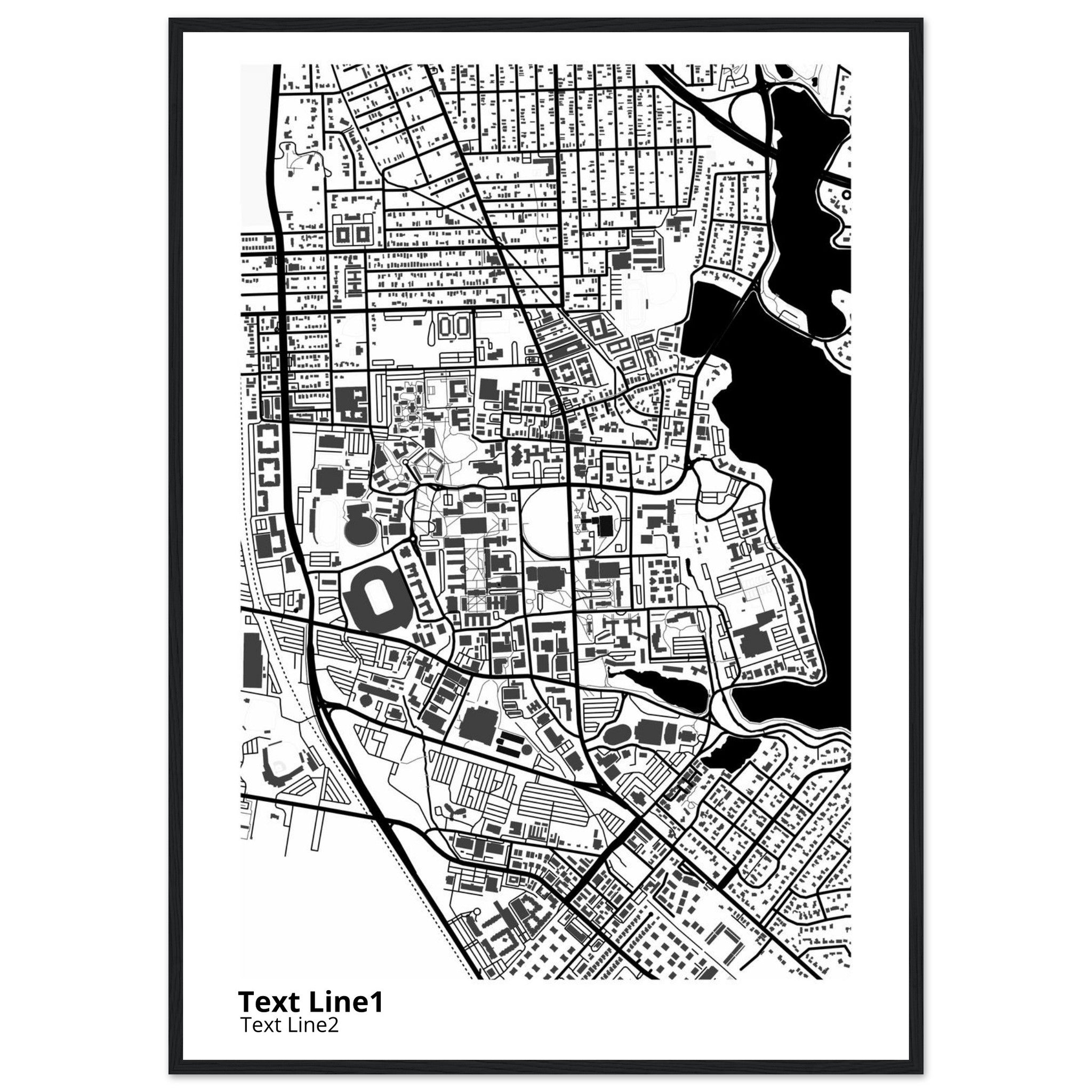 louisiana state university and agricultural and mechanical college campus map poster