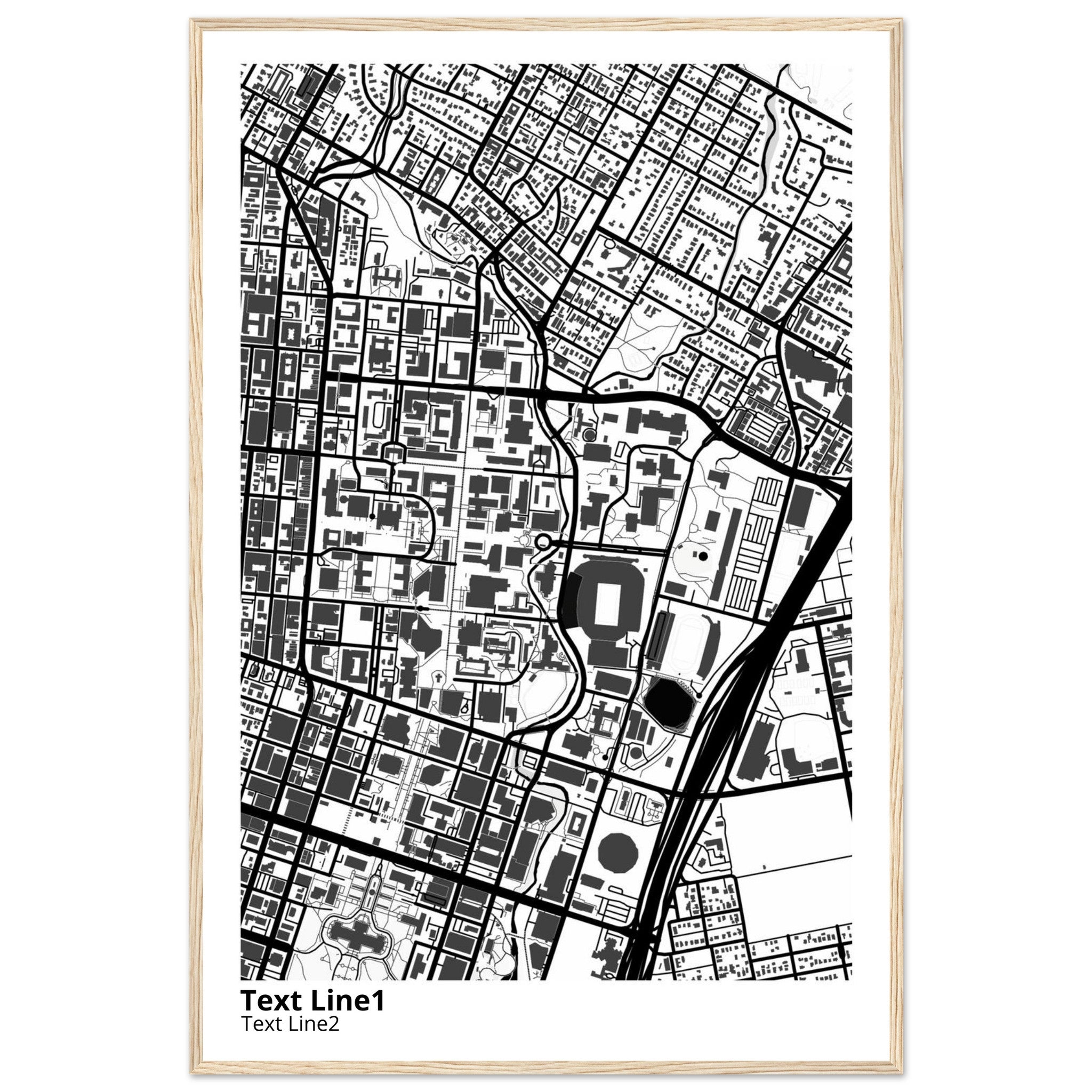 University of Texas at Austin Campus Map Poster | Graduation Gift - Ink And Atlas