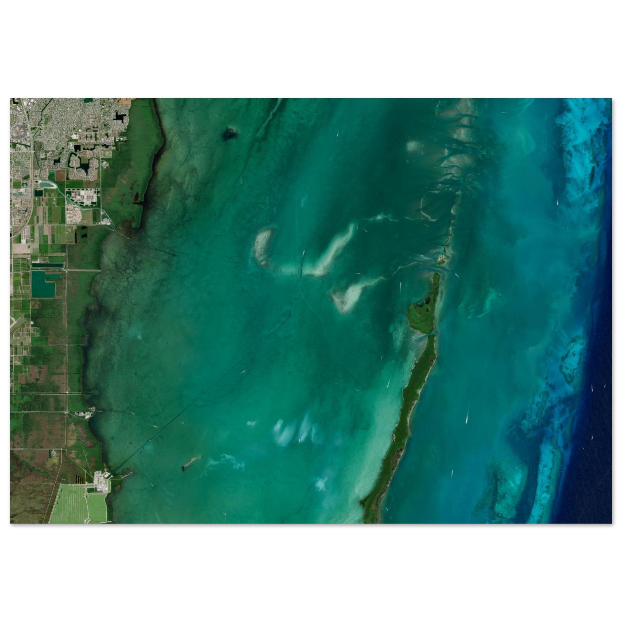 Biscayne National Park Natural Earth Print - Ink And Atlas