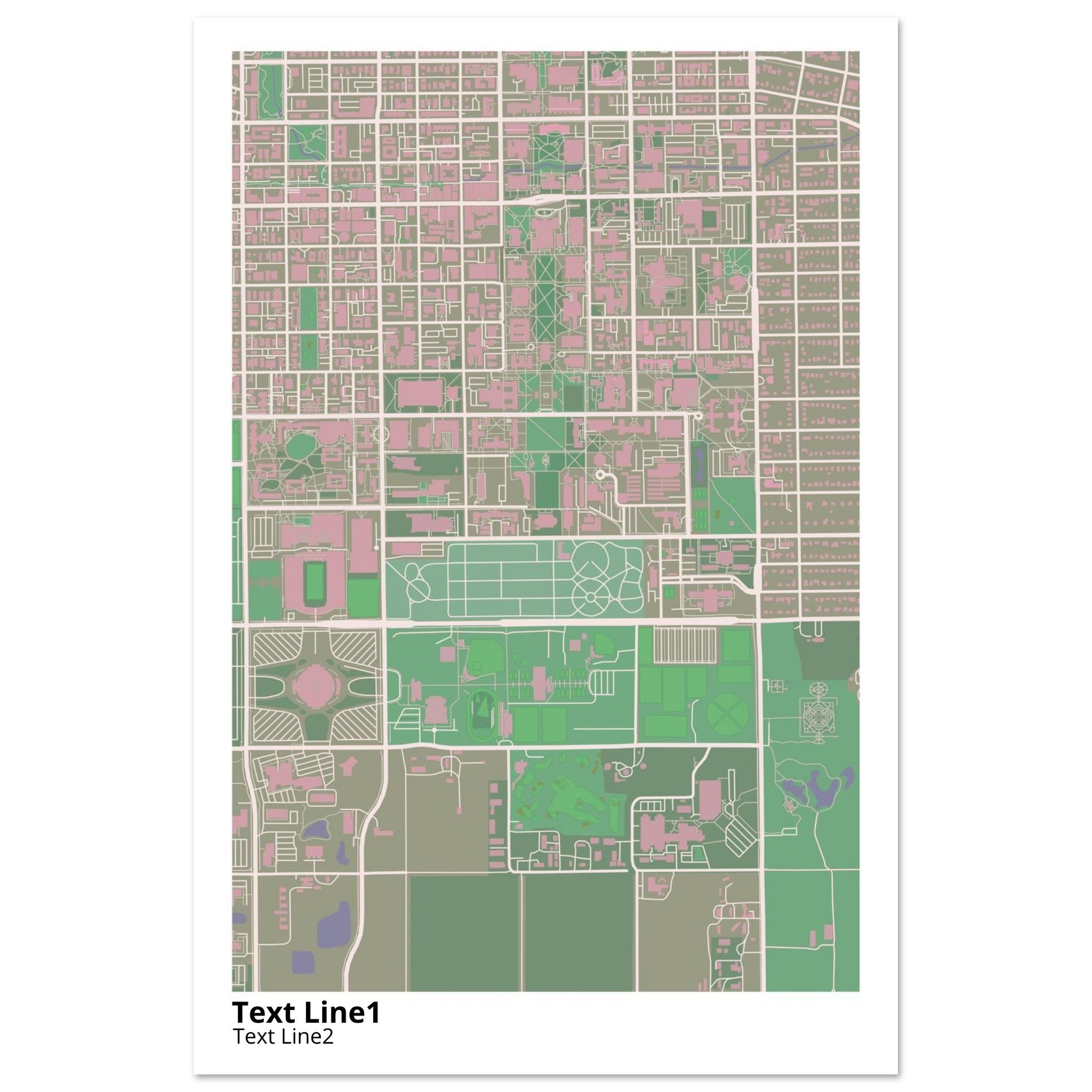 university of illinois urbana champaign campus map poster