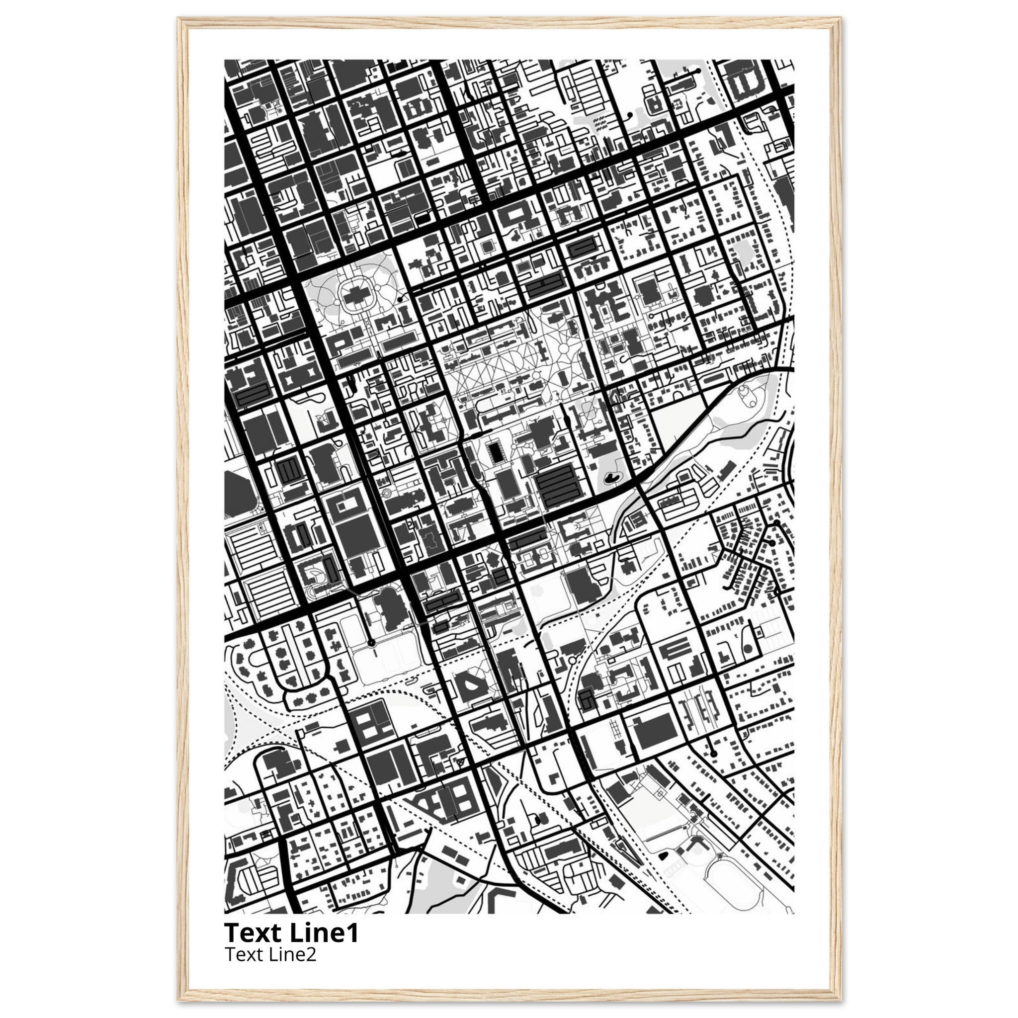 University of SC (Columbia) Campus Map Poster | Graduation Gift - Ink And Atlas
