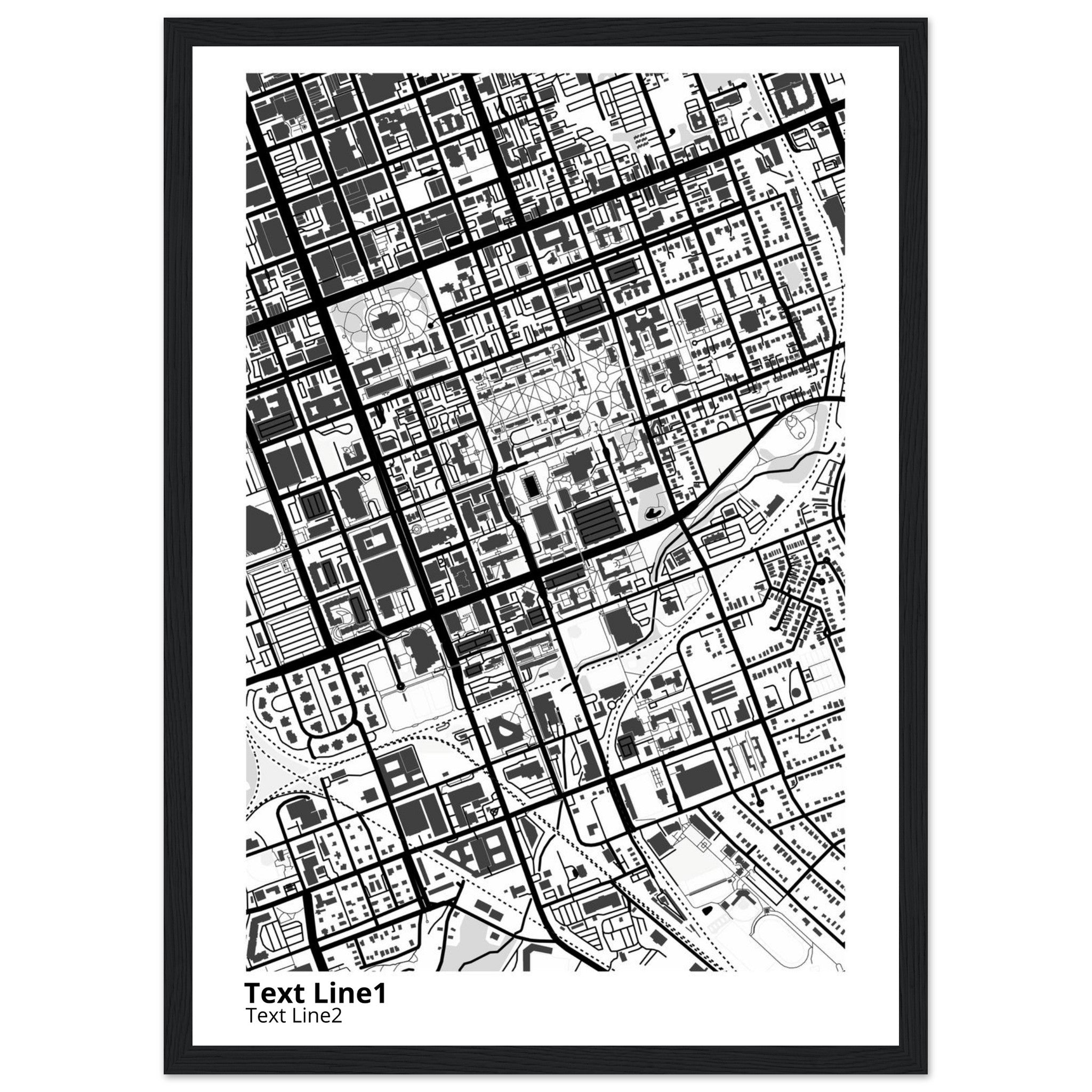 University of SC (Columbia) Campus Map Poster | Graduation Gift - Ink And Atlas