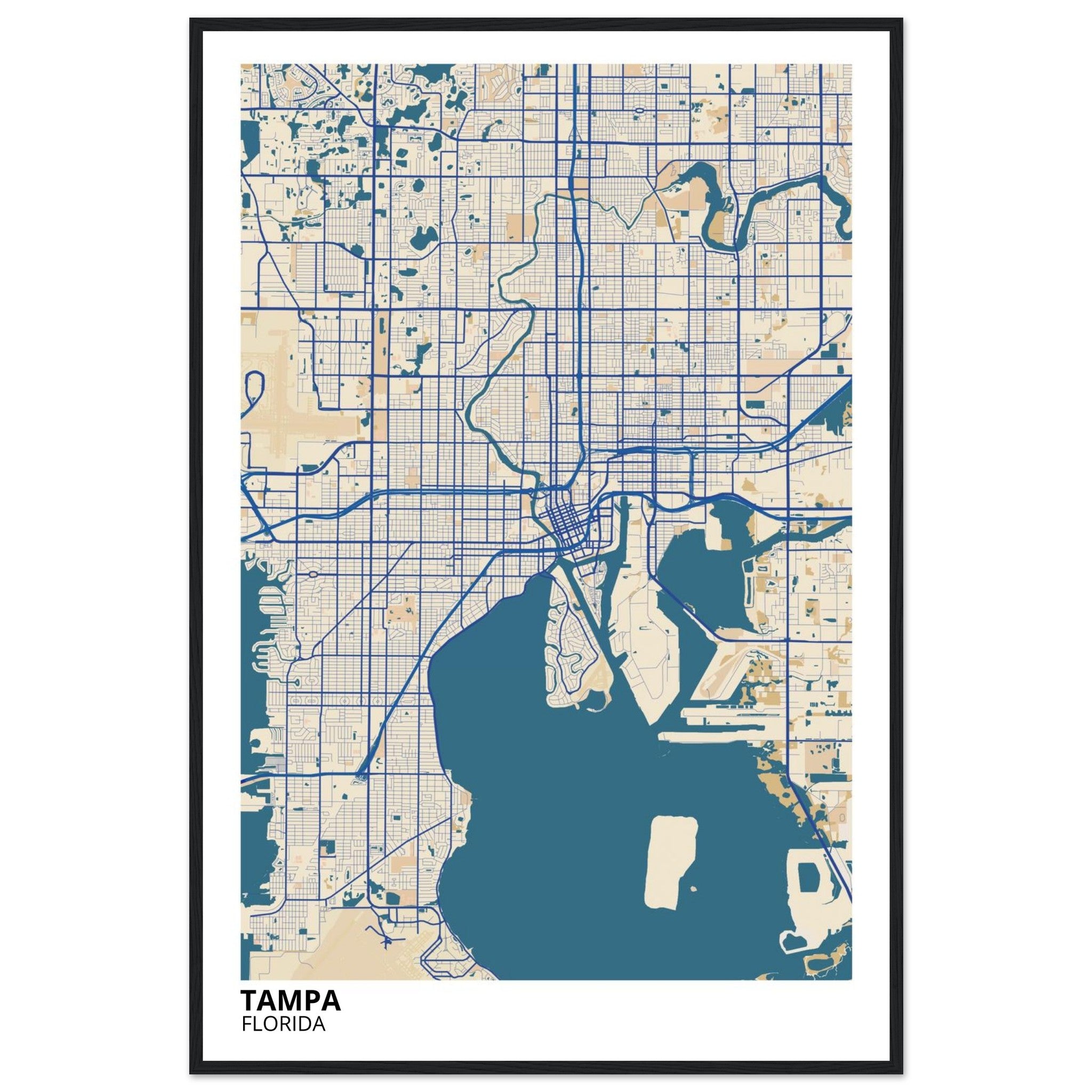 tampa map poster print