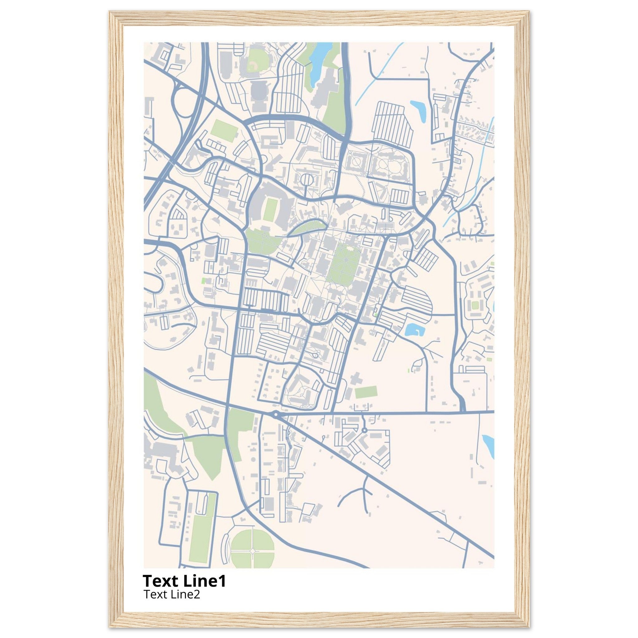 mississippi state university campus map poster
