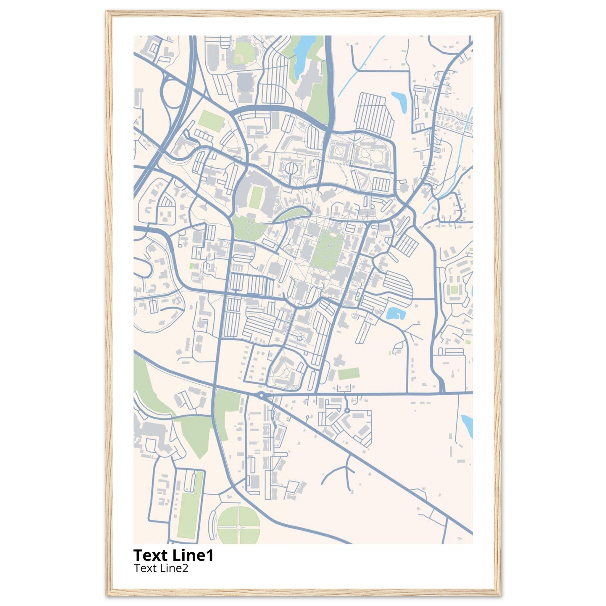 mississippi state university campus map poster