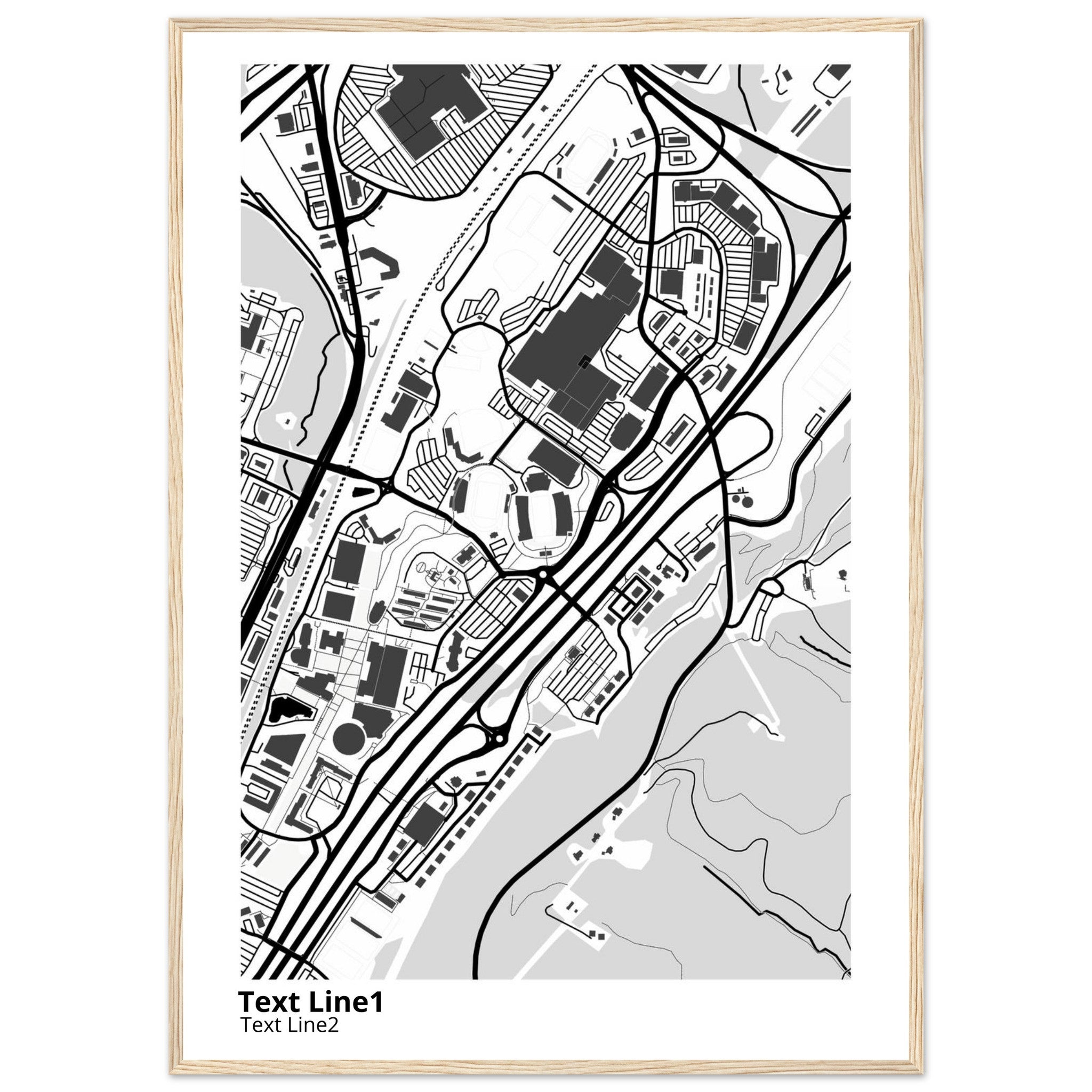 Liberty University Virginia Campus Map Poster | Graduation Gift - Ink And Atlas