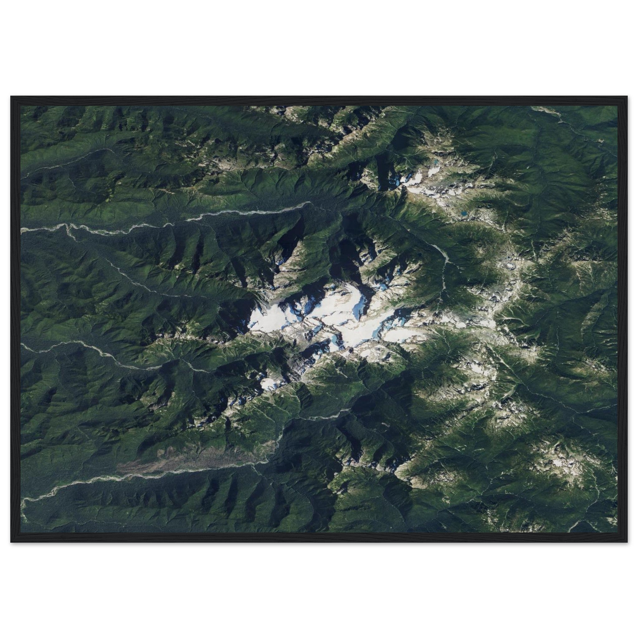 Olympic National Park Natural Earth Print - Ink And Atlas