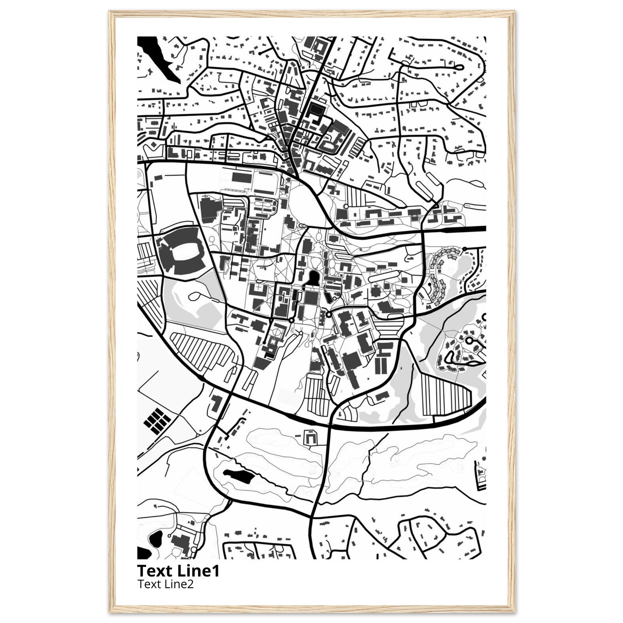 clemson university south carolina campus map poster