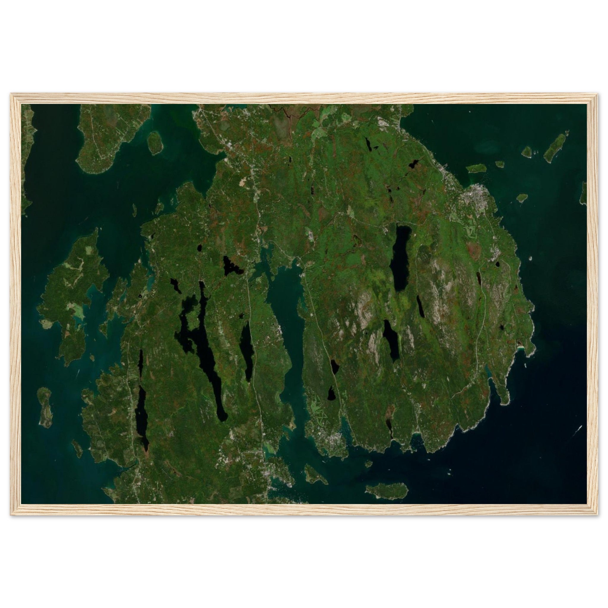 Acadia National Park Natural Earth Print - Ink And Atlas
