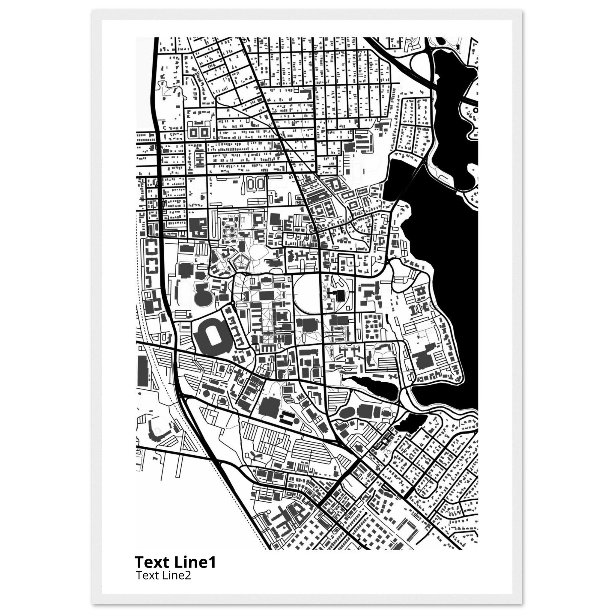 louisiana state university and agricultural and mechanical college campus map poster