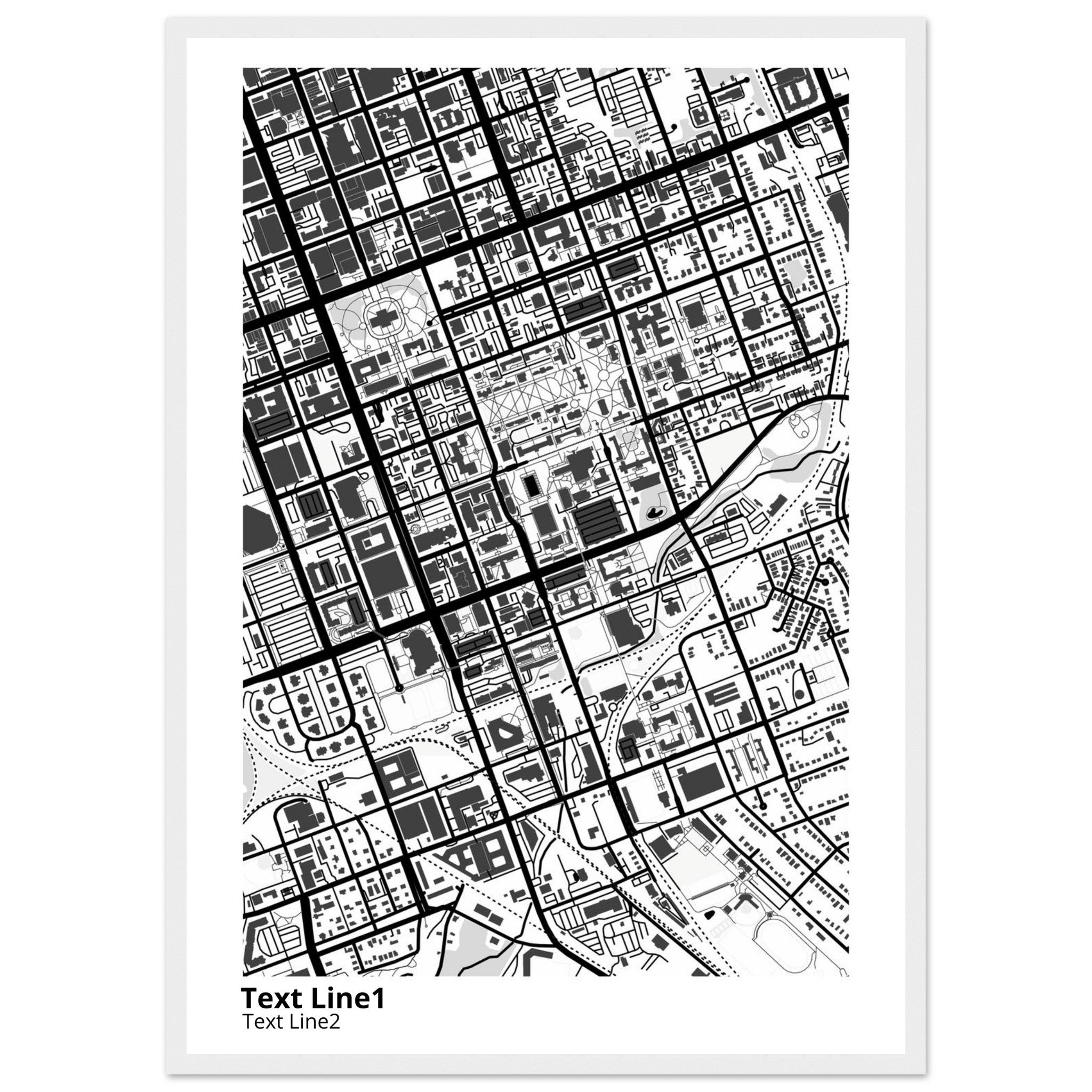 University of SC (Columbia) Campus Map Poster | Graduation Gift - Ink And Atlas