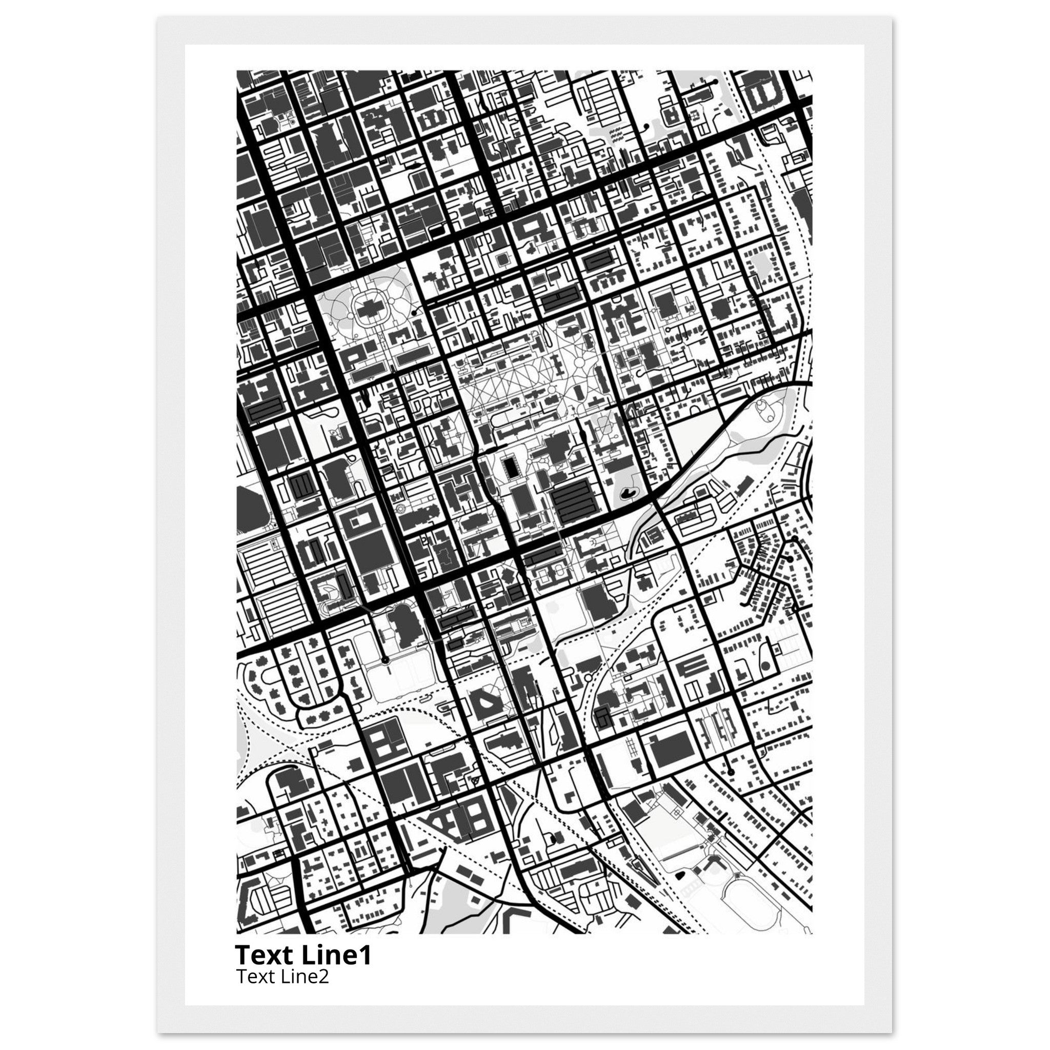 University of SC (Columbia) Campus Map Poster | Graduation Gift - Ink And Atlas