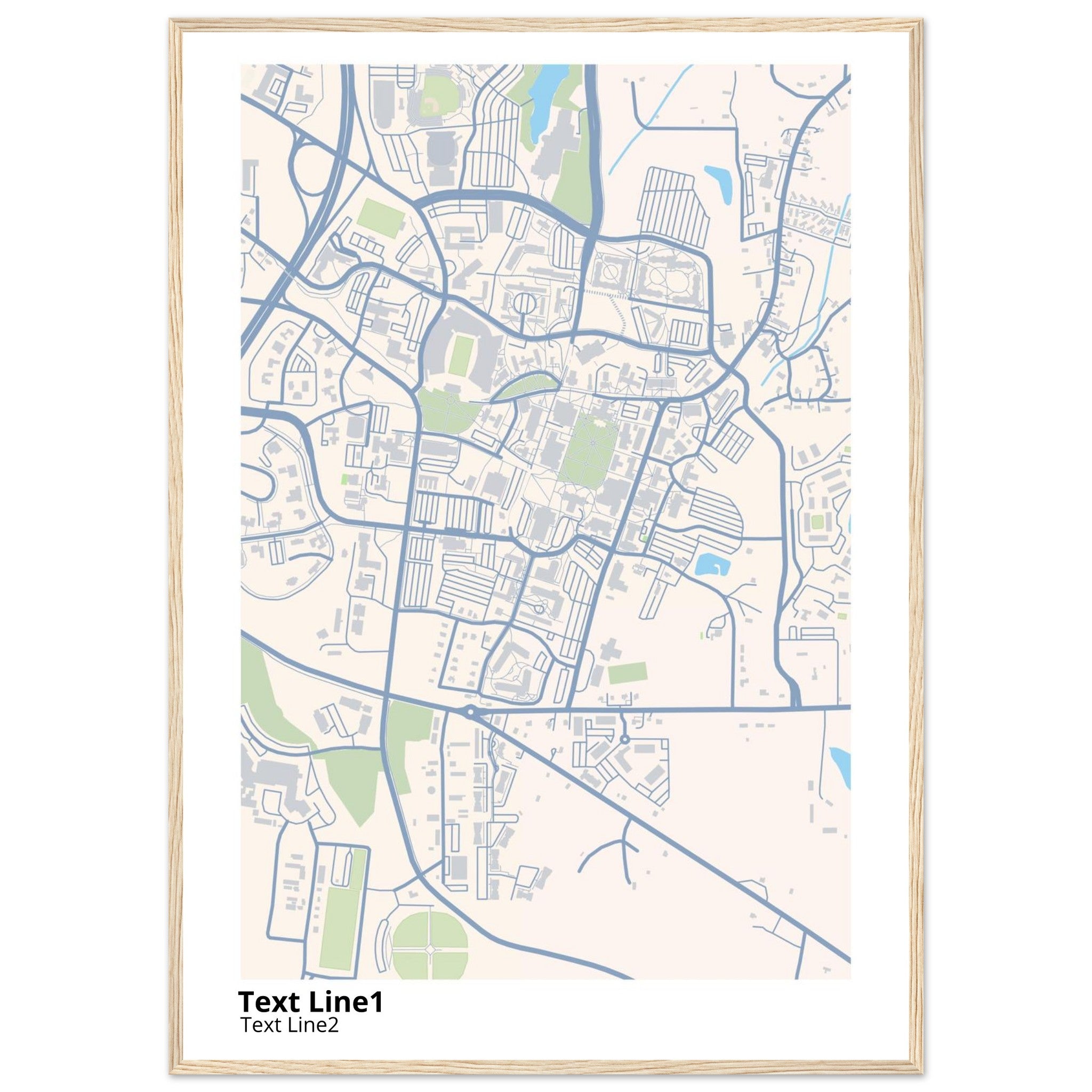 mississippi state university campus map poster