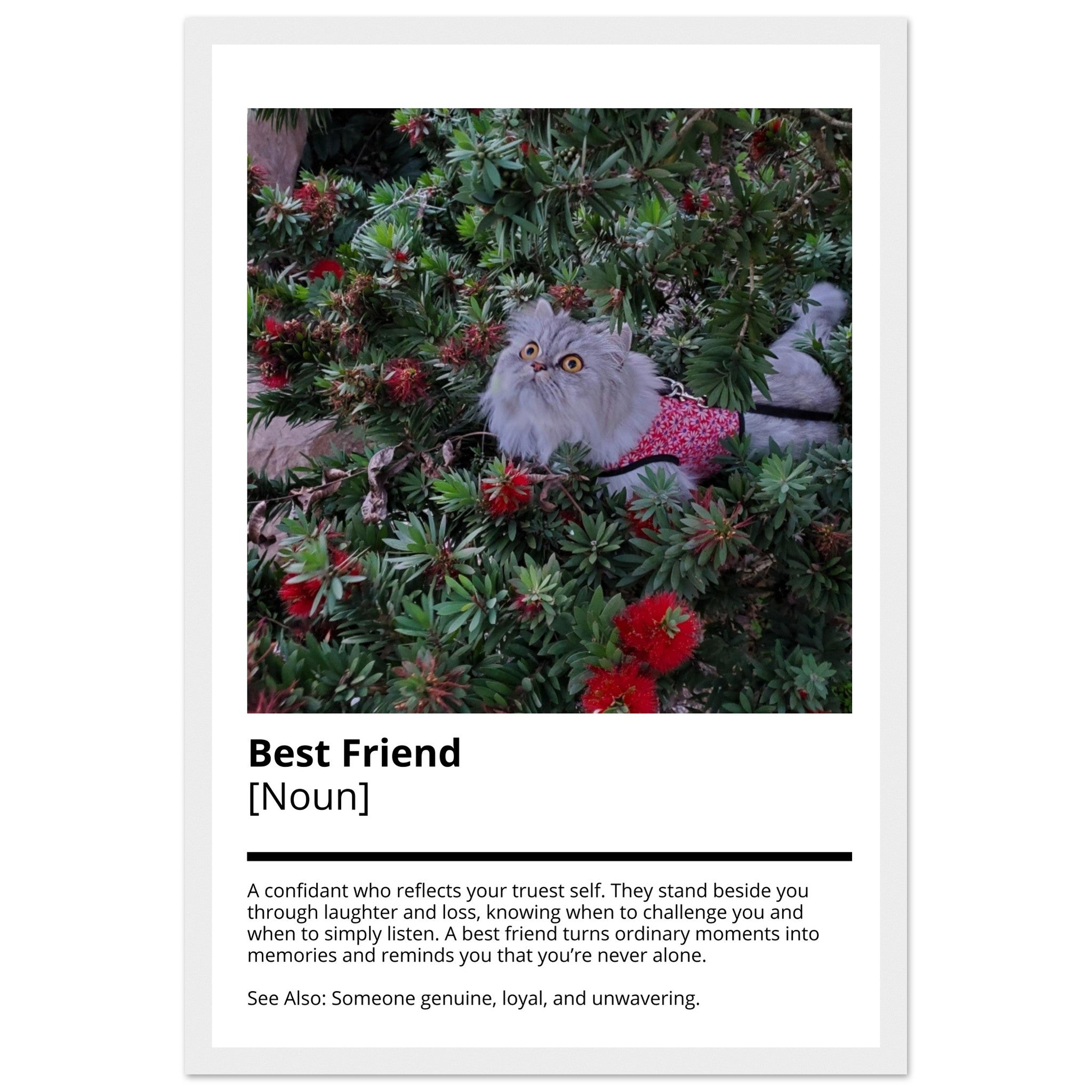 f8d110d0-fd1b-4f91-b73f-f60d0b9854c5