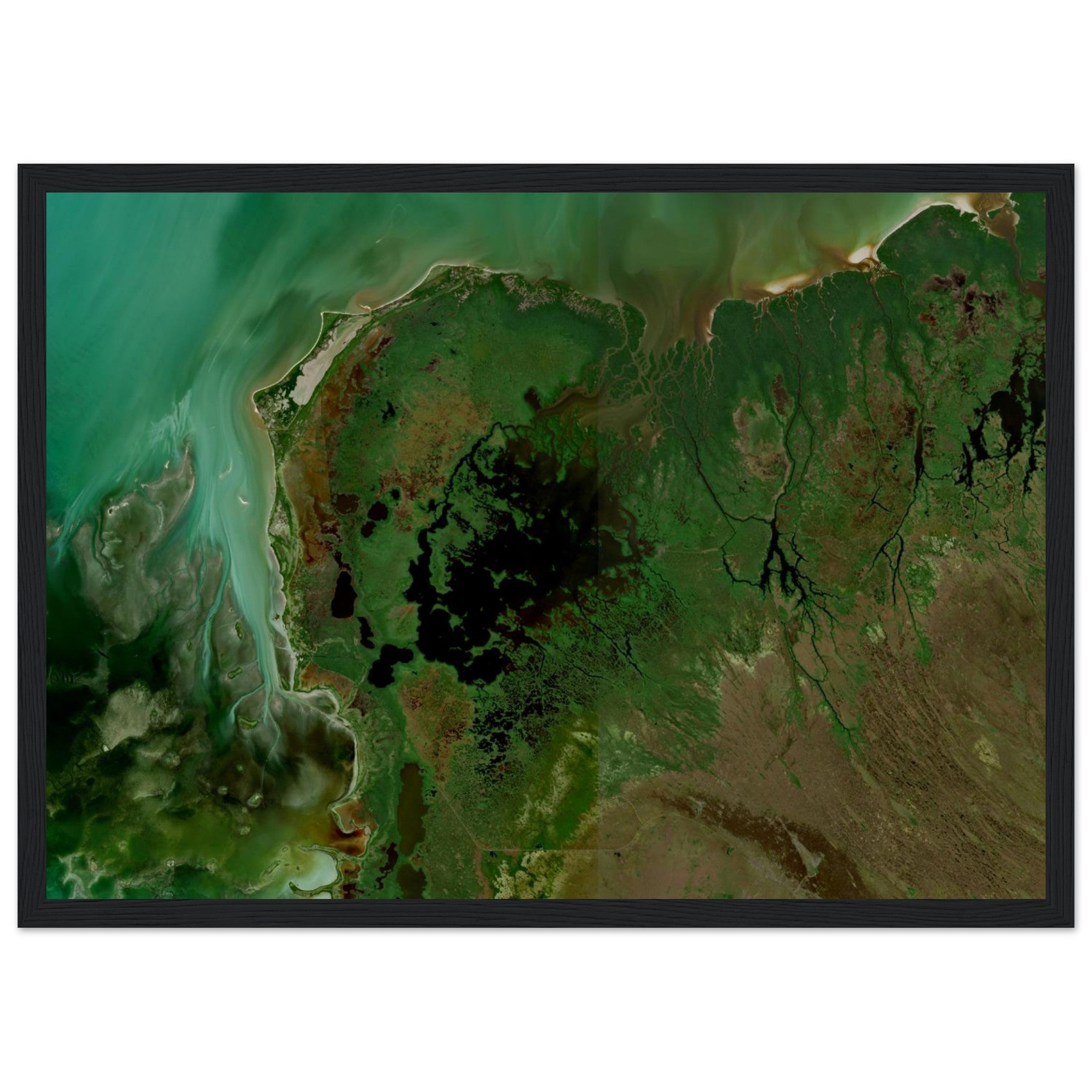 Everglades National Park Natural Earth Print - Ink And Atlas