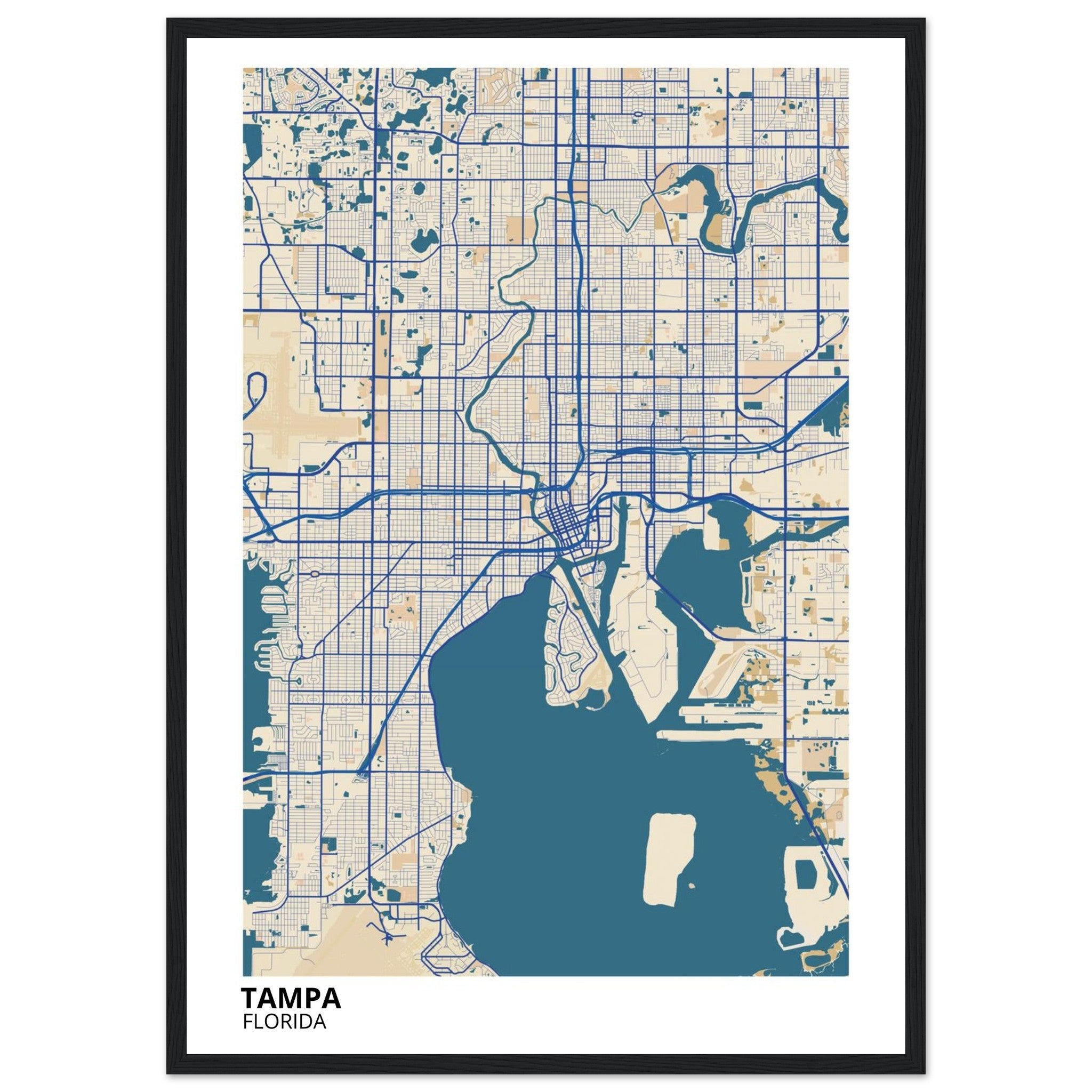 tampa map poster print