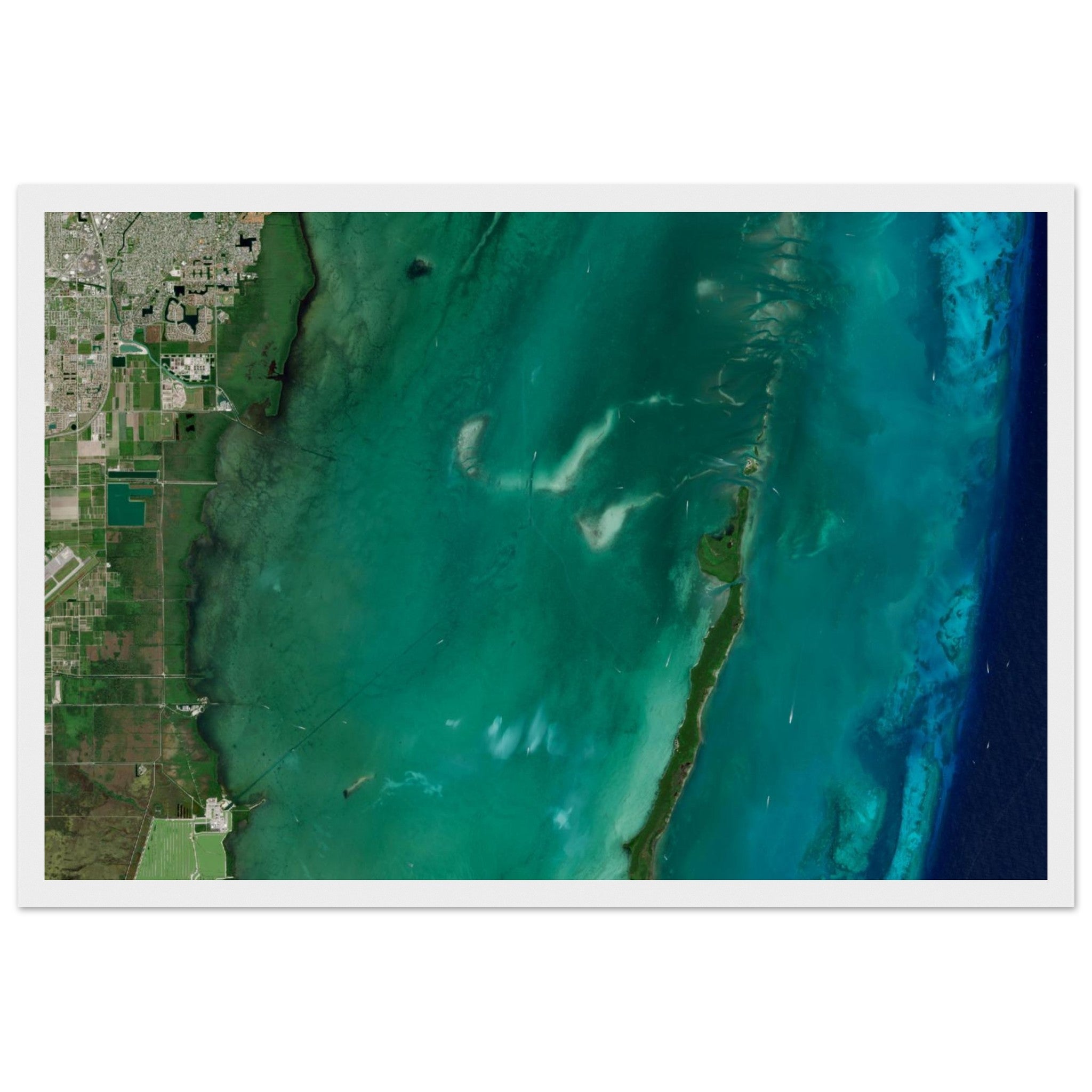 Biscayne National Park Natural Earth Print - Ink And Atlas