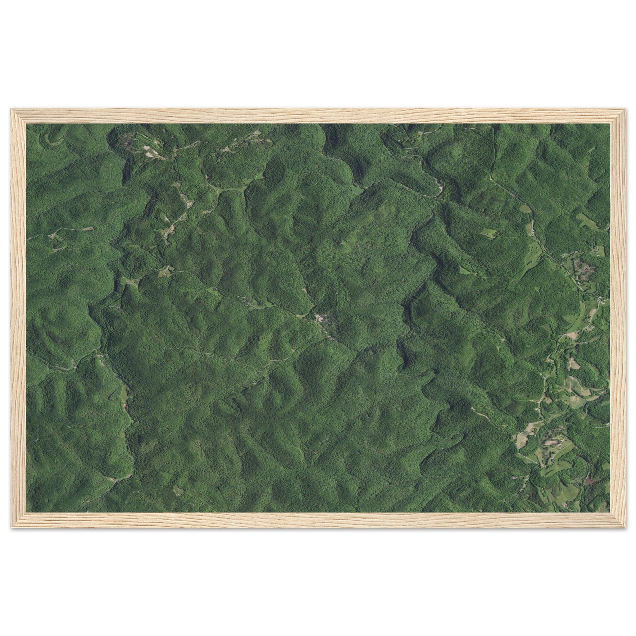 Wind Cave National Park Natural Earth Print - Ink And Atlas