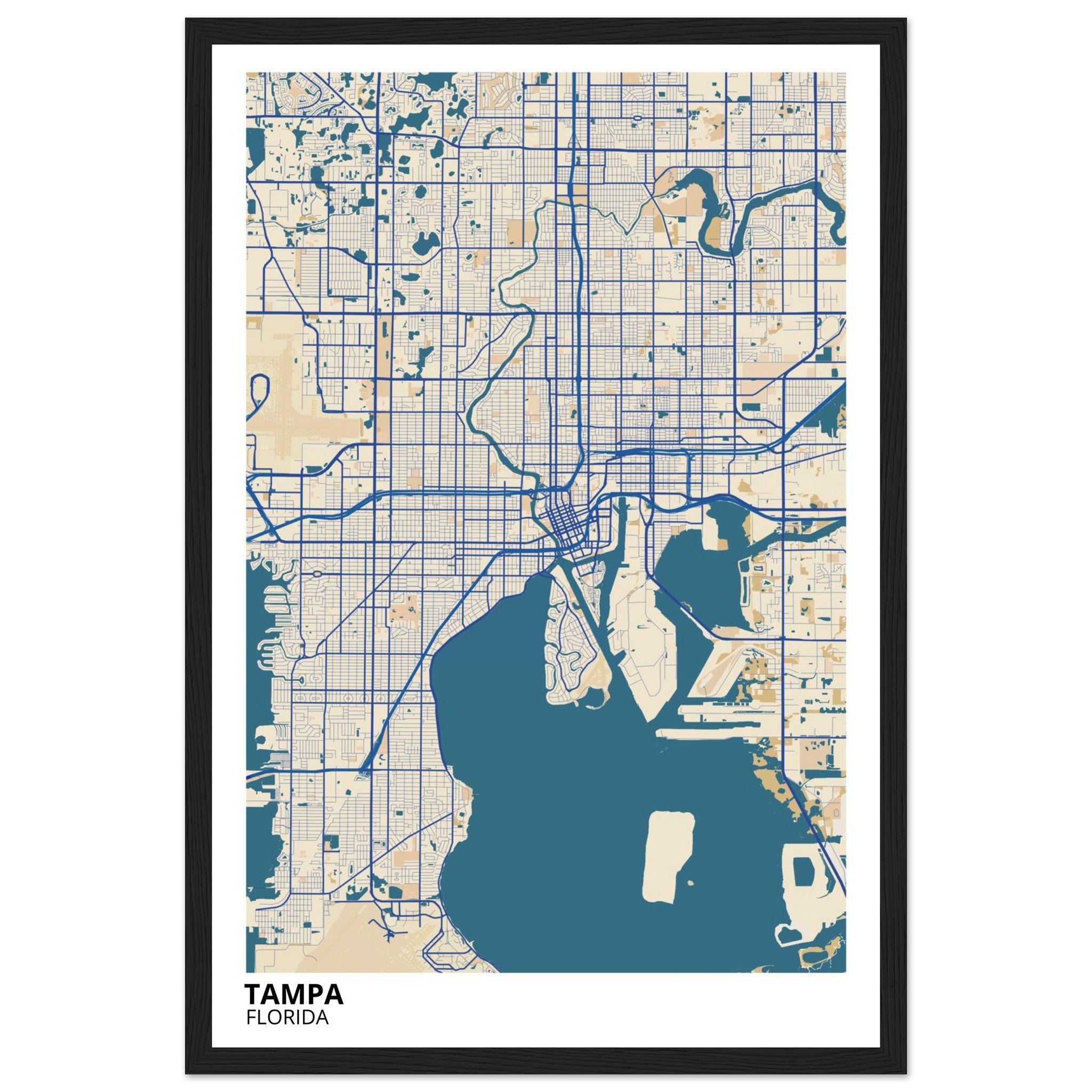 tampa map poster print