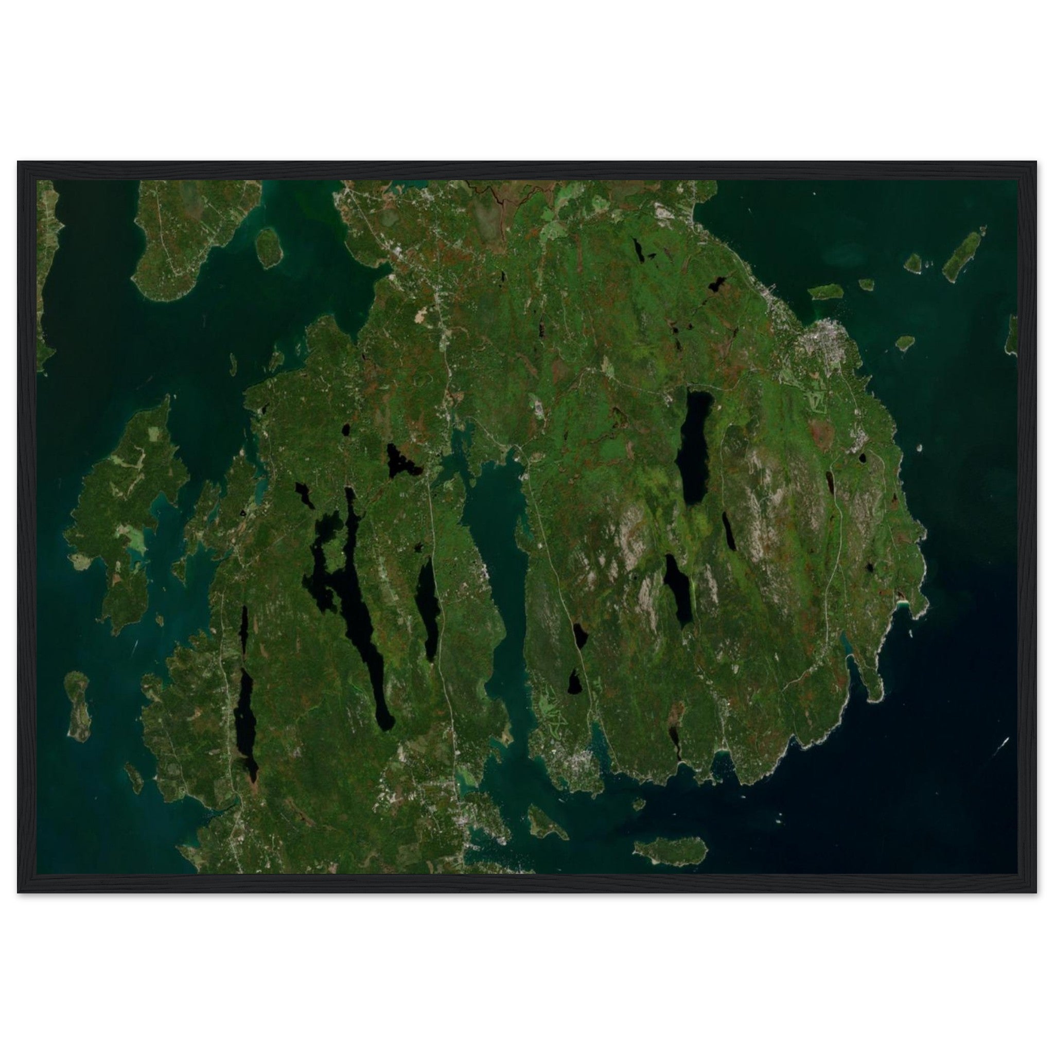 Acadia National Park Natural Earth Print - Ink And Atlas