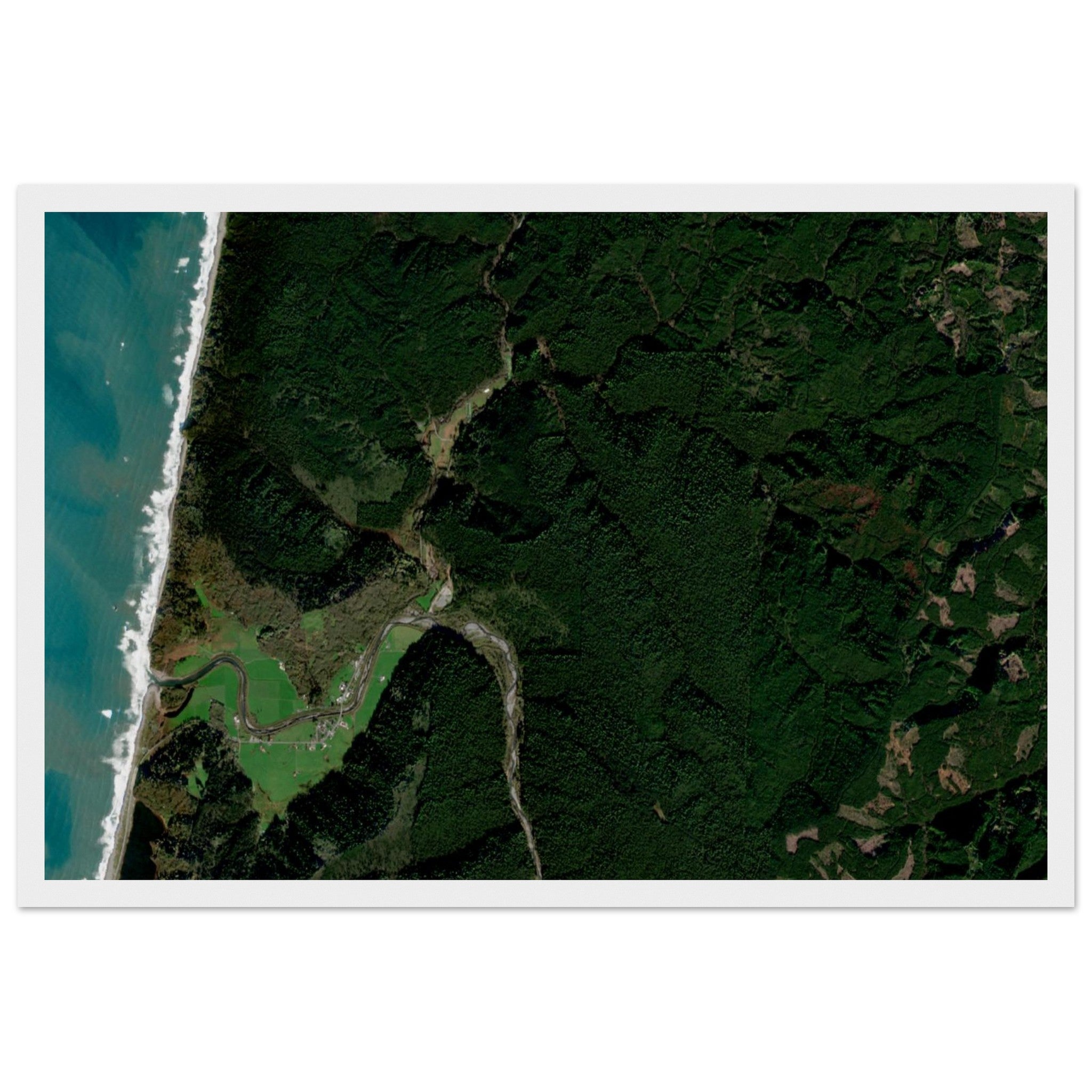 Redwood National Park Natural Earth Print - Ink And Atlas