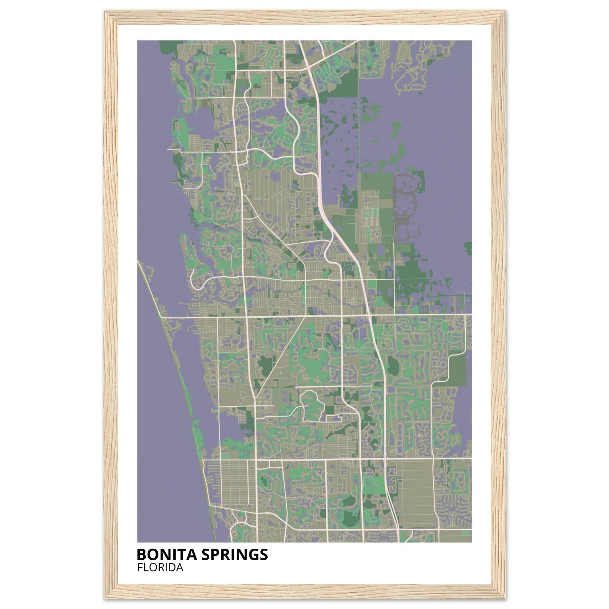 bonita springs map poster print