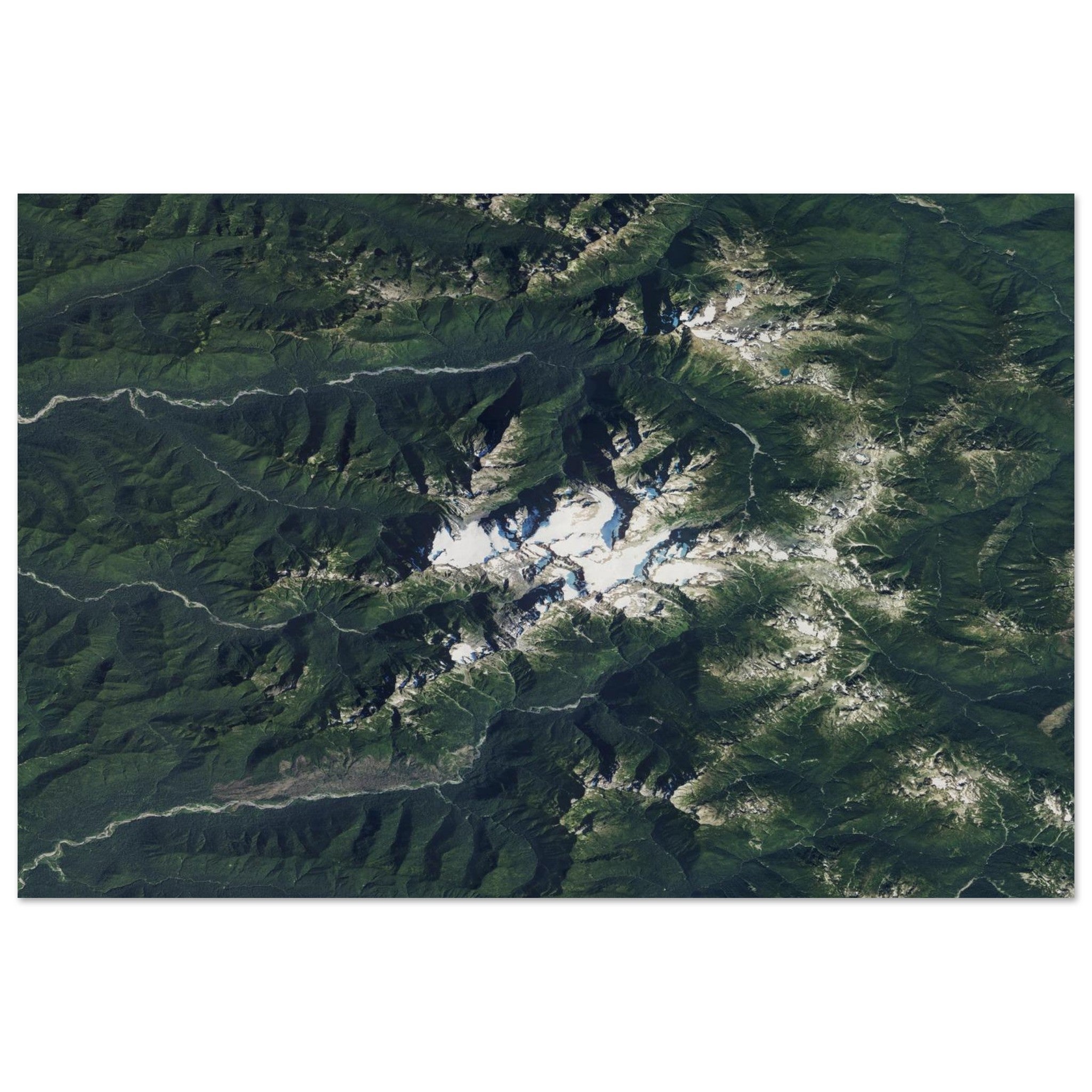 Olympic National Park Natural Earth Print - Ink And Atlas