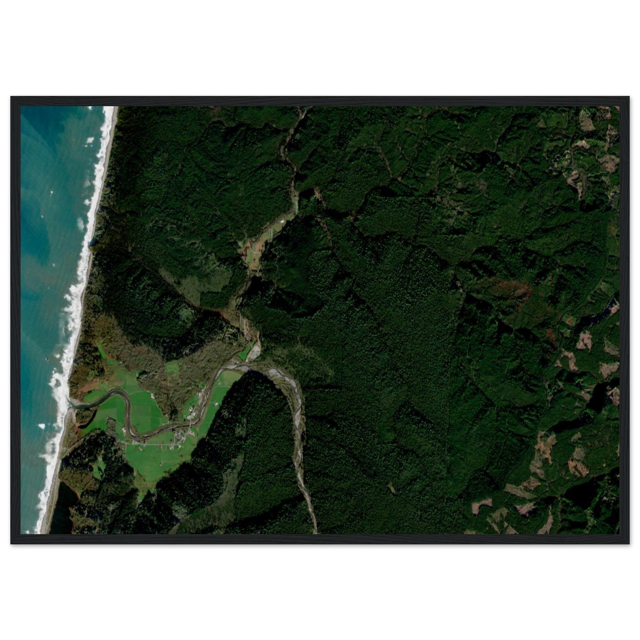 Redwood National Park Natural Earth Print - Ink And Atlas