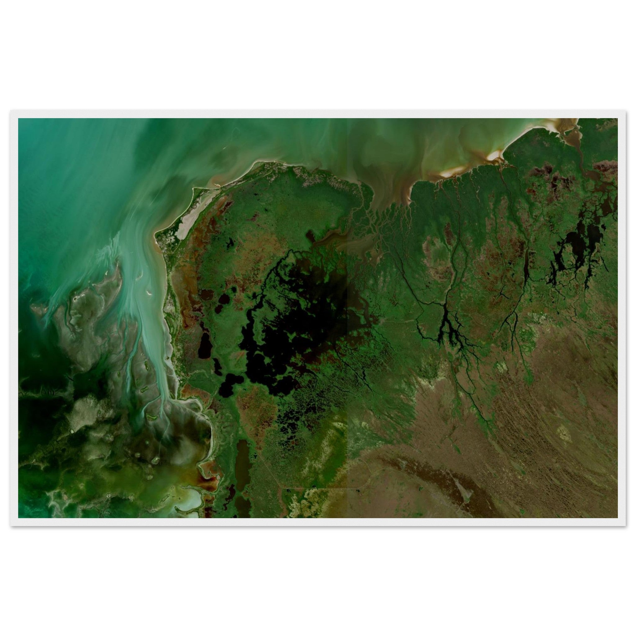 Everglades National Park Natural Earth Print - Ink And Atlas