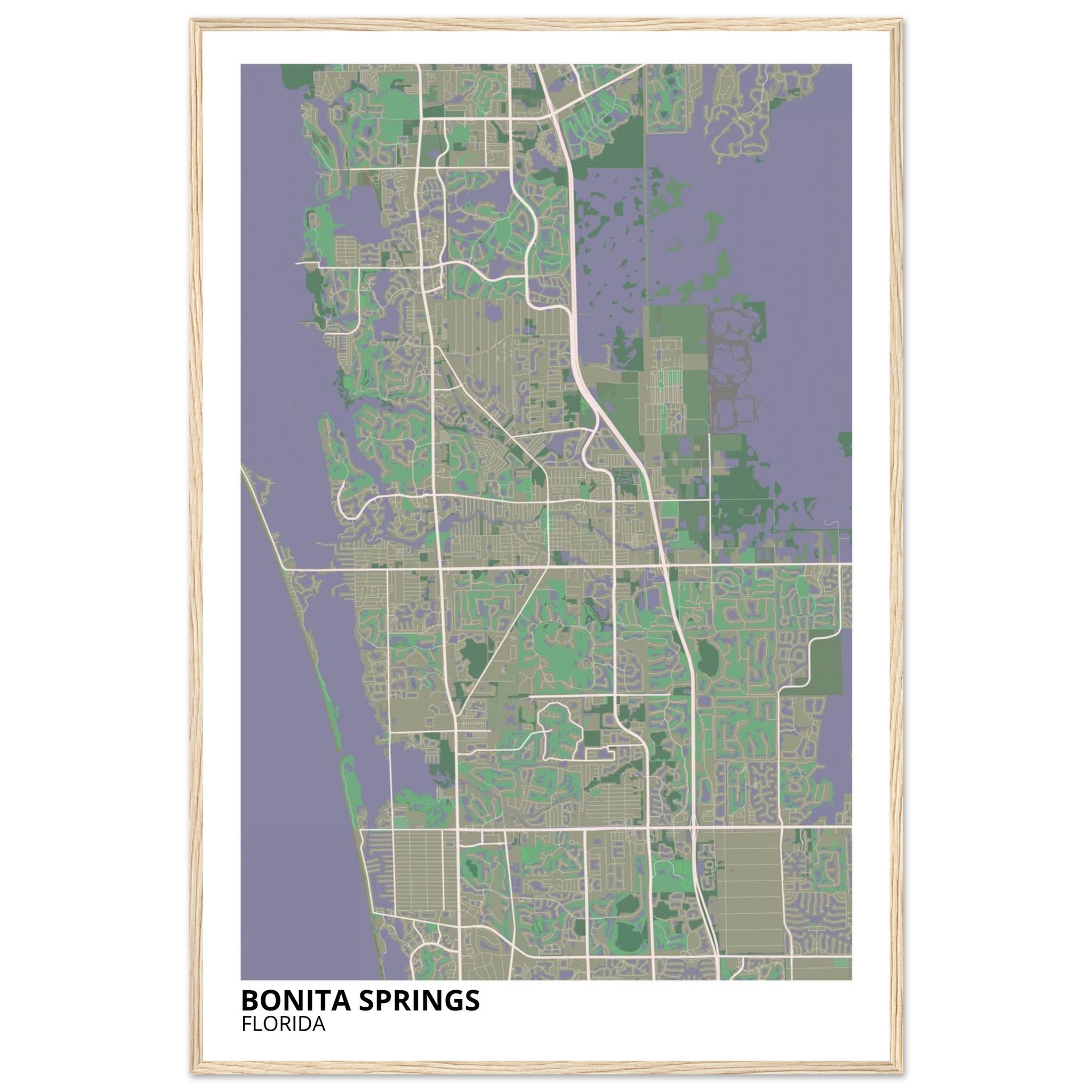 bonita springs map poster print