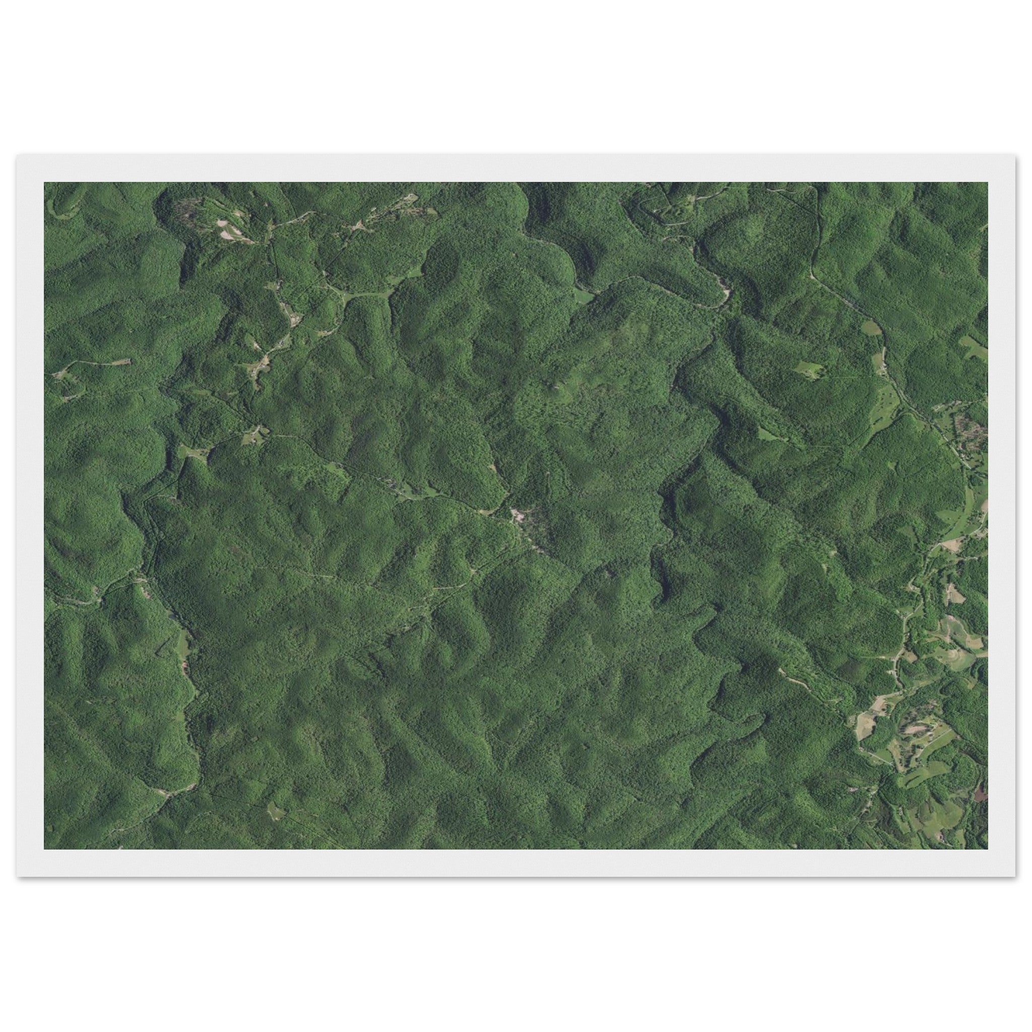 Wind Cave National Park Natural Earth Print - Ink And Atlas