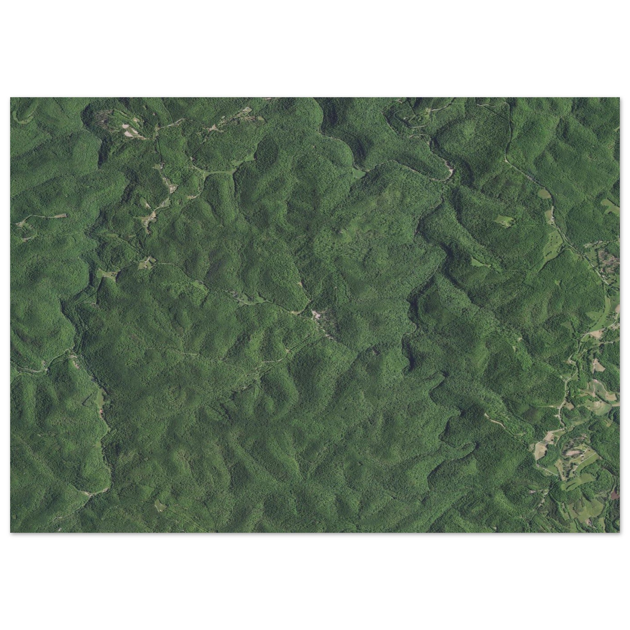 Wind Cave National Park Natural Earth Print - Ink And Atlas