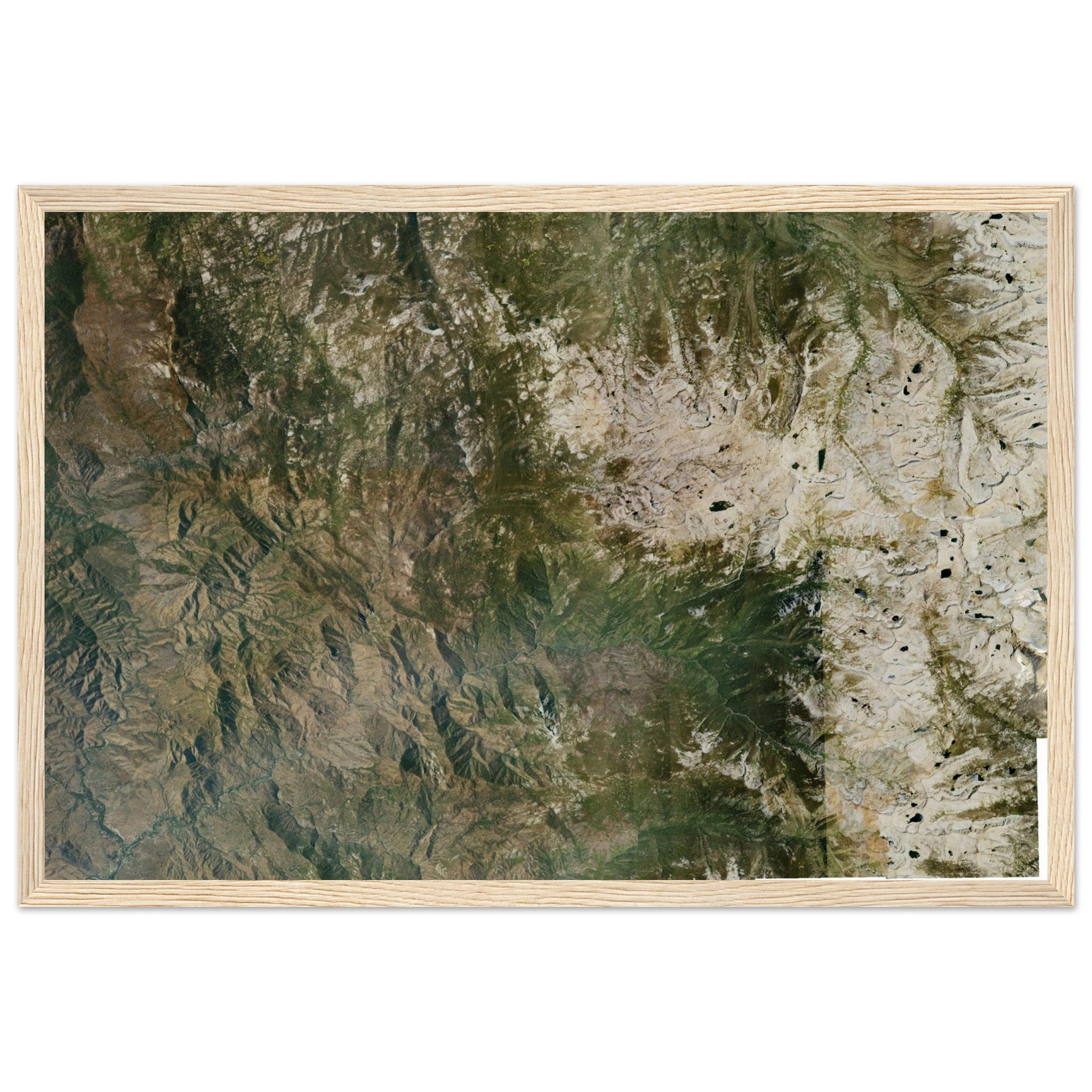 Sequoia National Park Natural Earth Print - Ink And Atlas