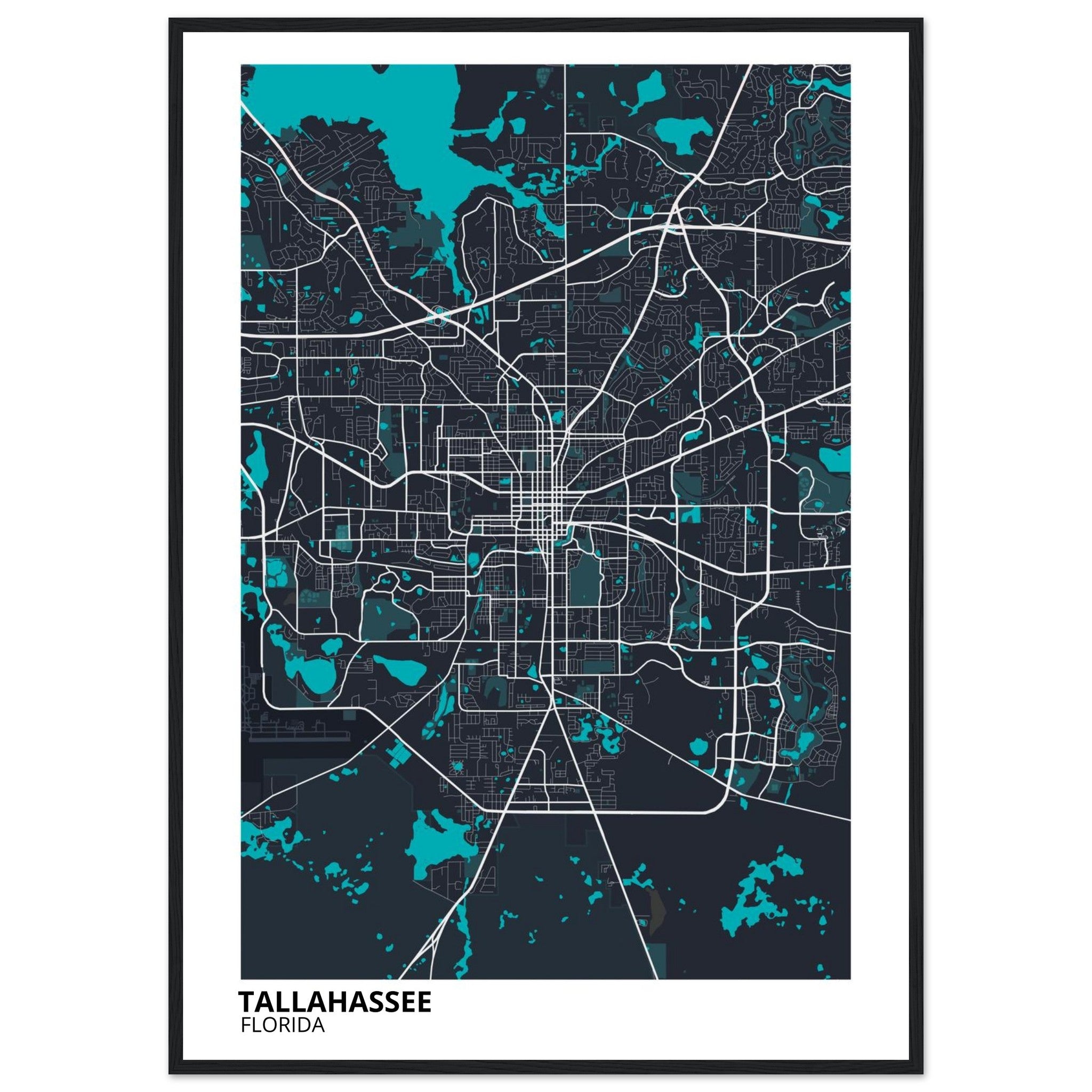 tallahassee map poster print