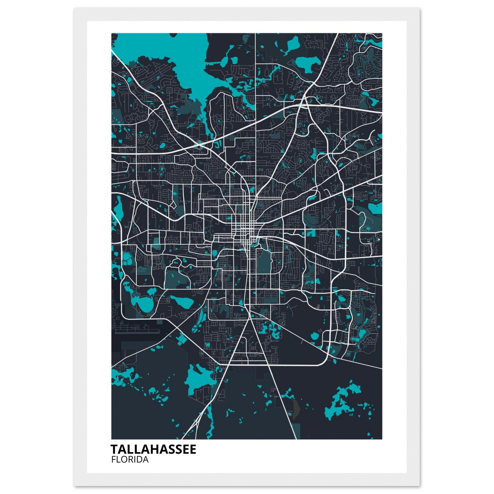 tallahassee map poster print