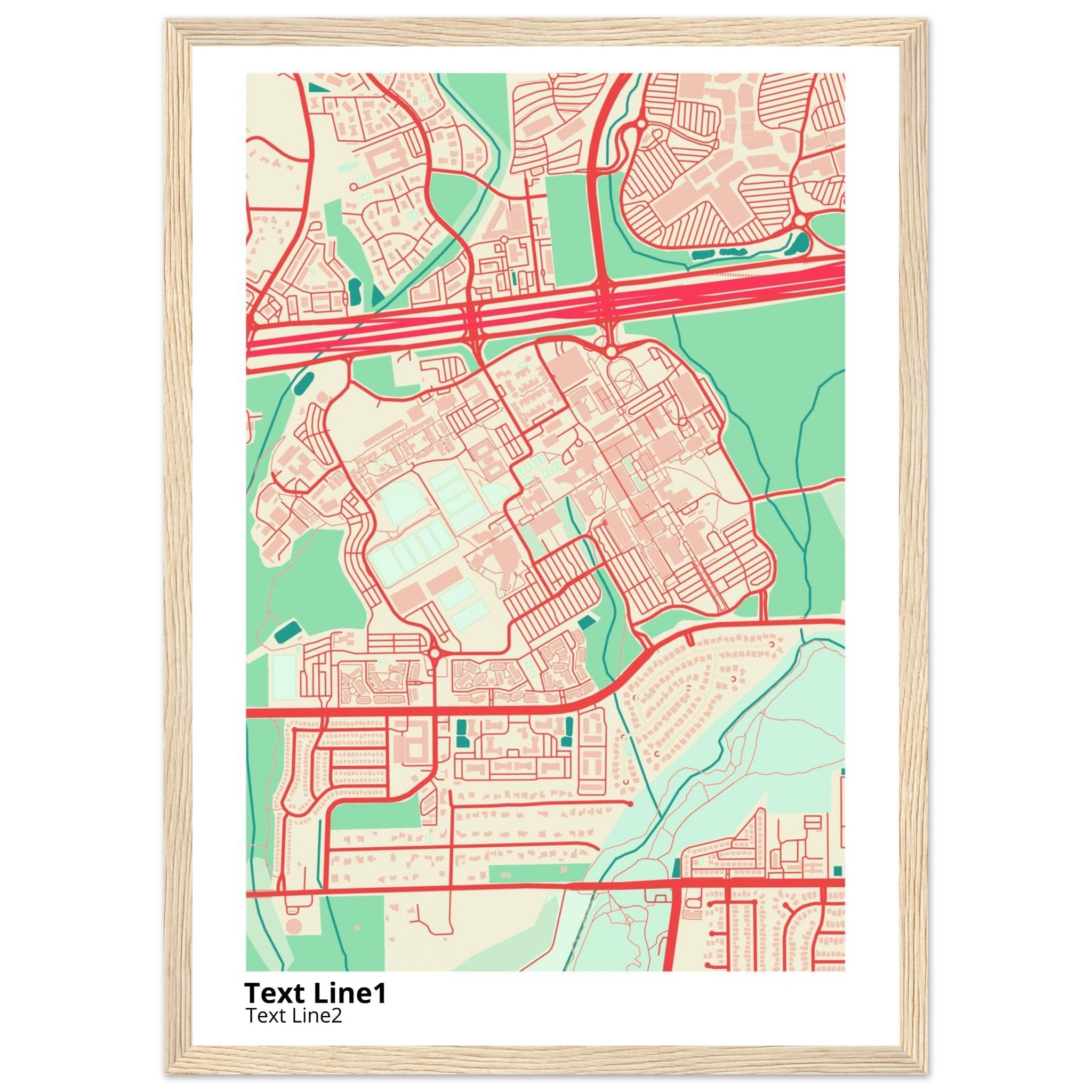 The University of Texas San Antonio Campus Map Poster | Alumni Gift - Ink And Atlas