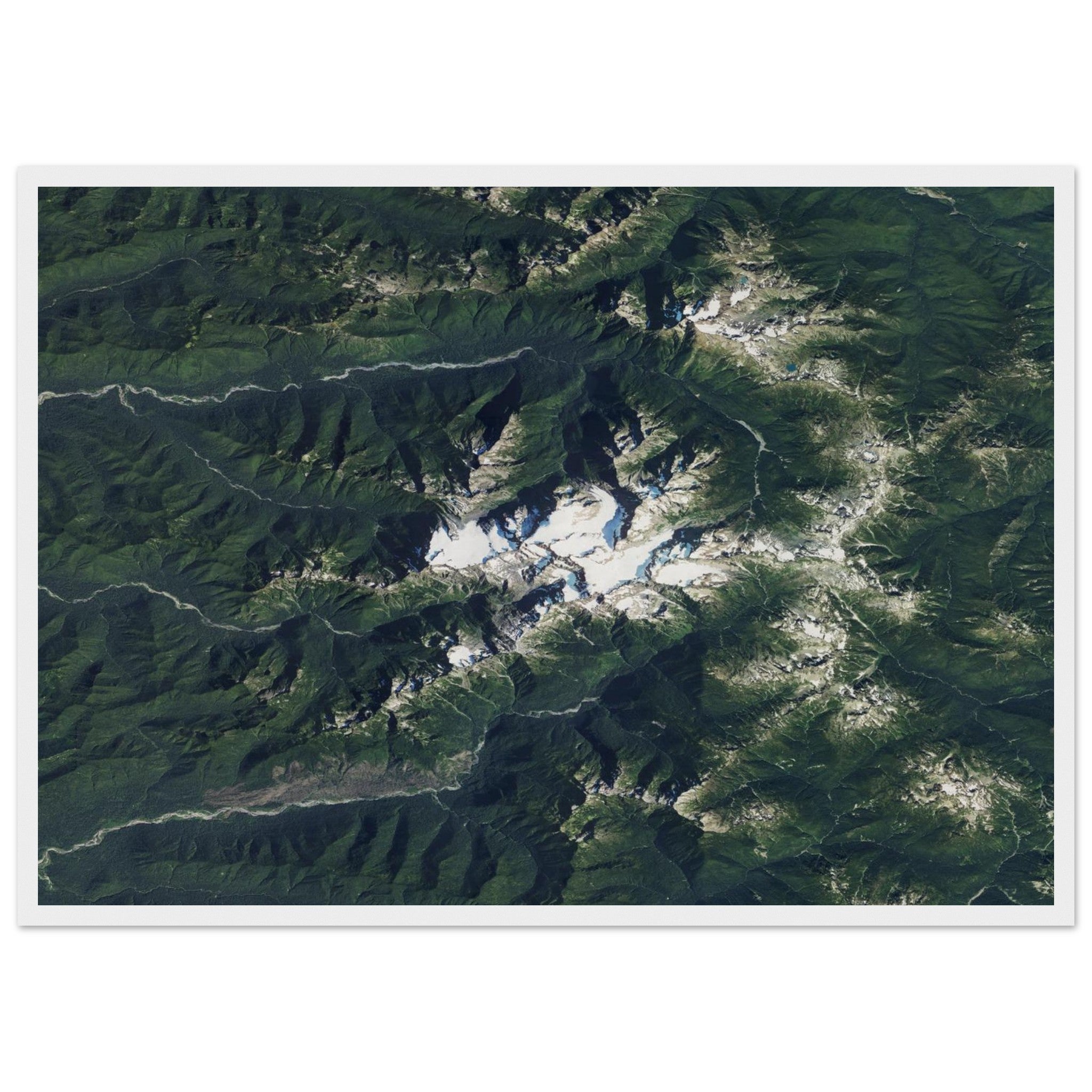 Olympic National Park Natural Earth Print - Ink And Atlas