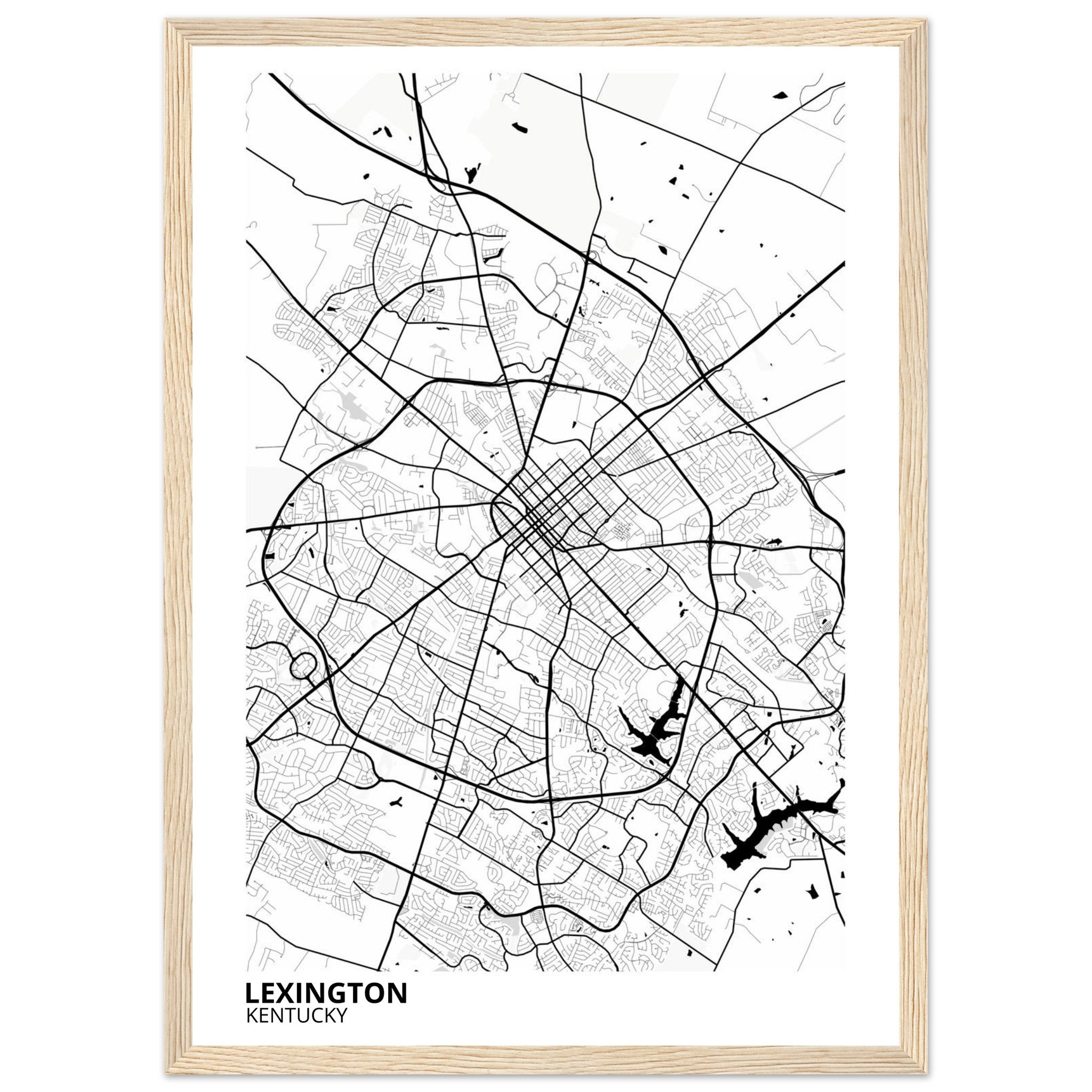 Lexington Kentucky City Map Poster | Custom Map Art Print - Ink And Atlas