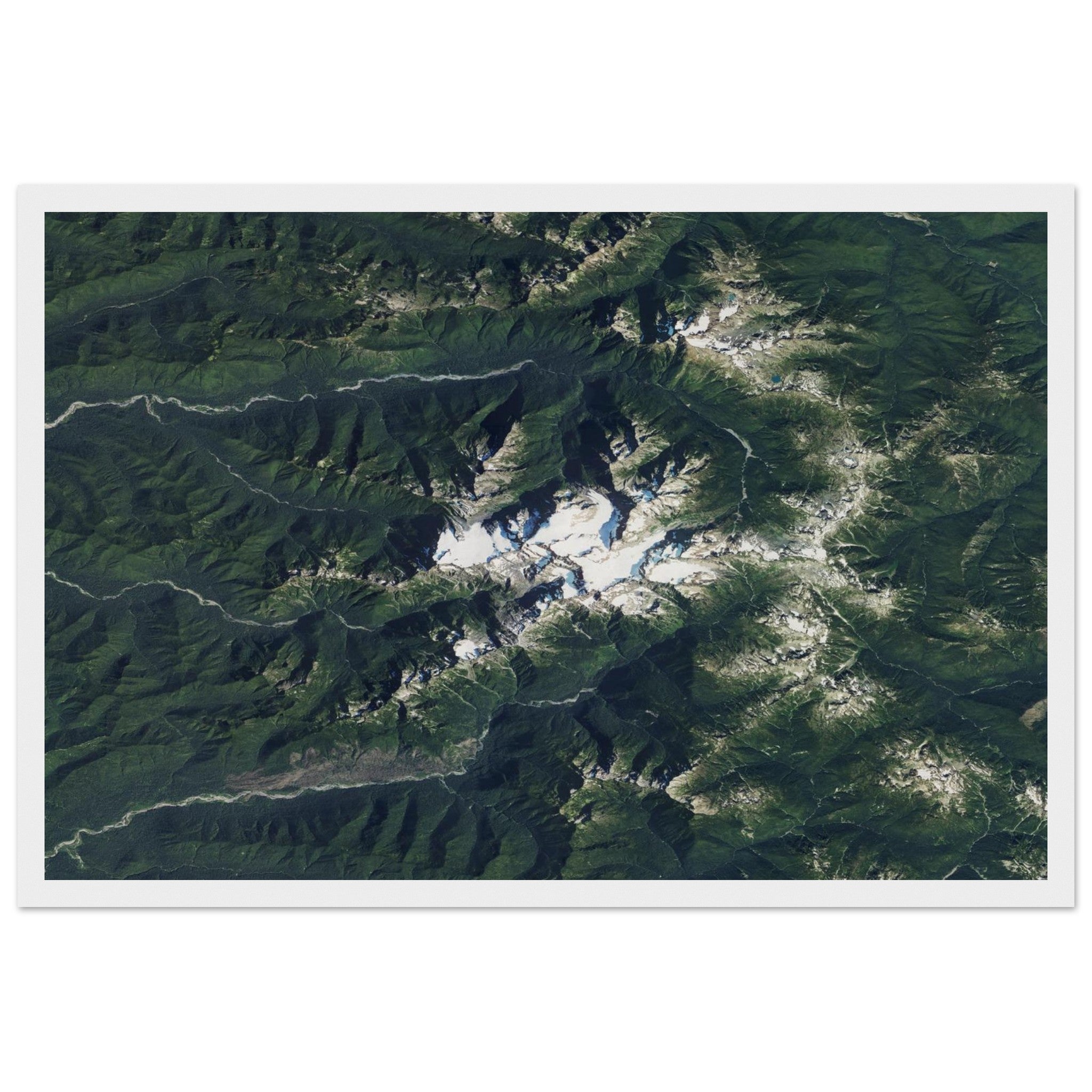 Olympic National Park Natural Earth Print - Ink And Atlas
